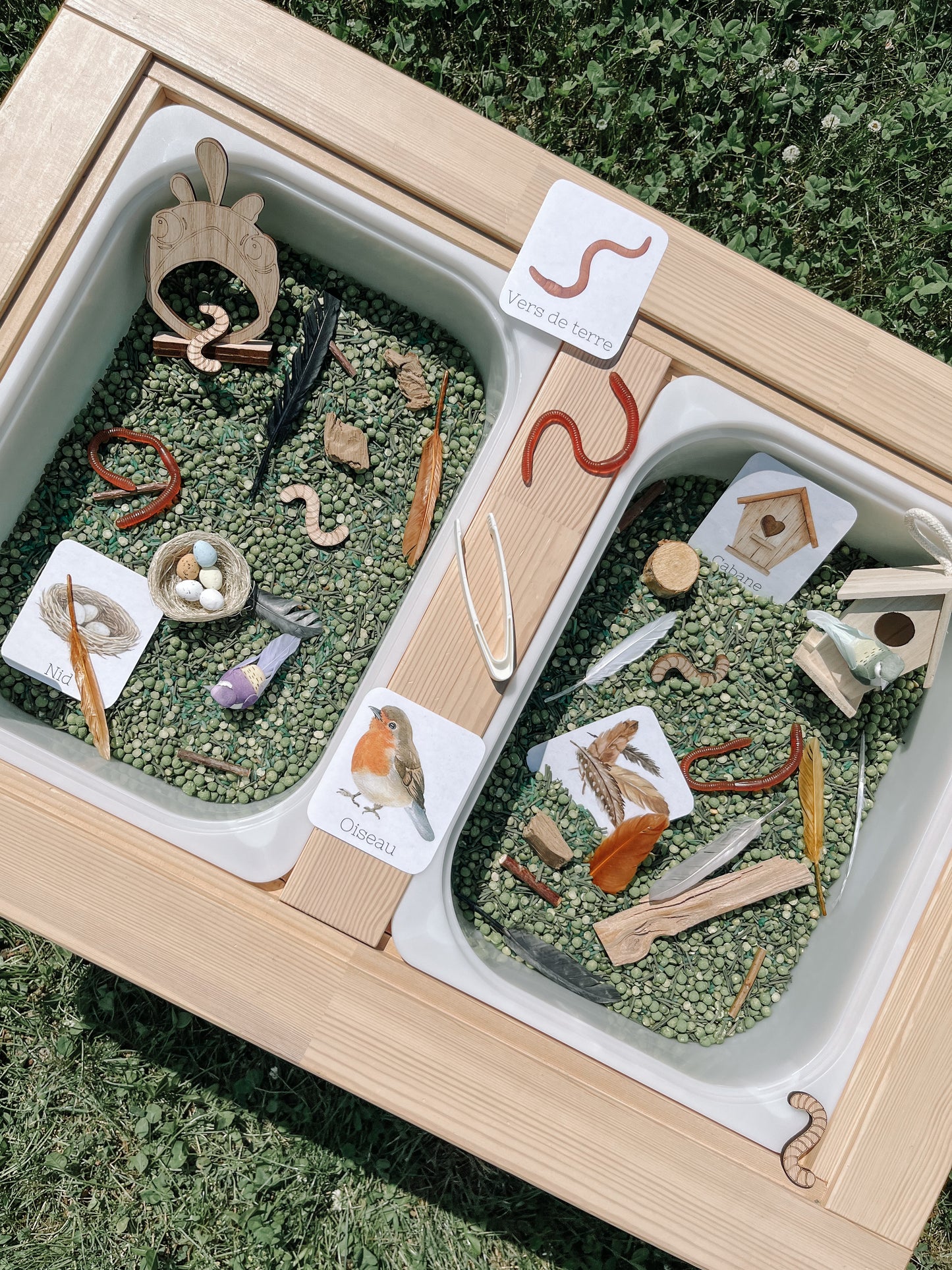 Boite sensorielle Oiseaux