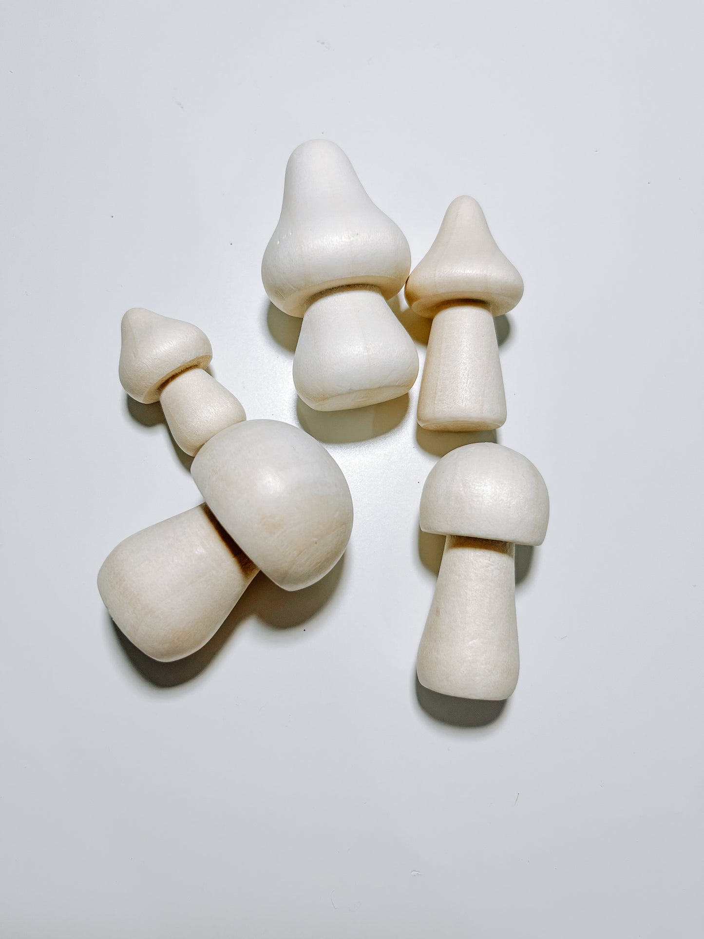 VRAC Champignons