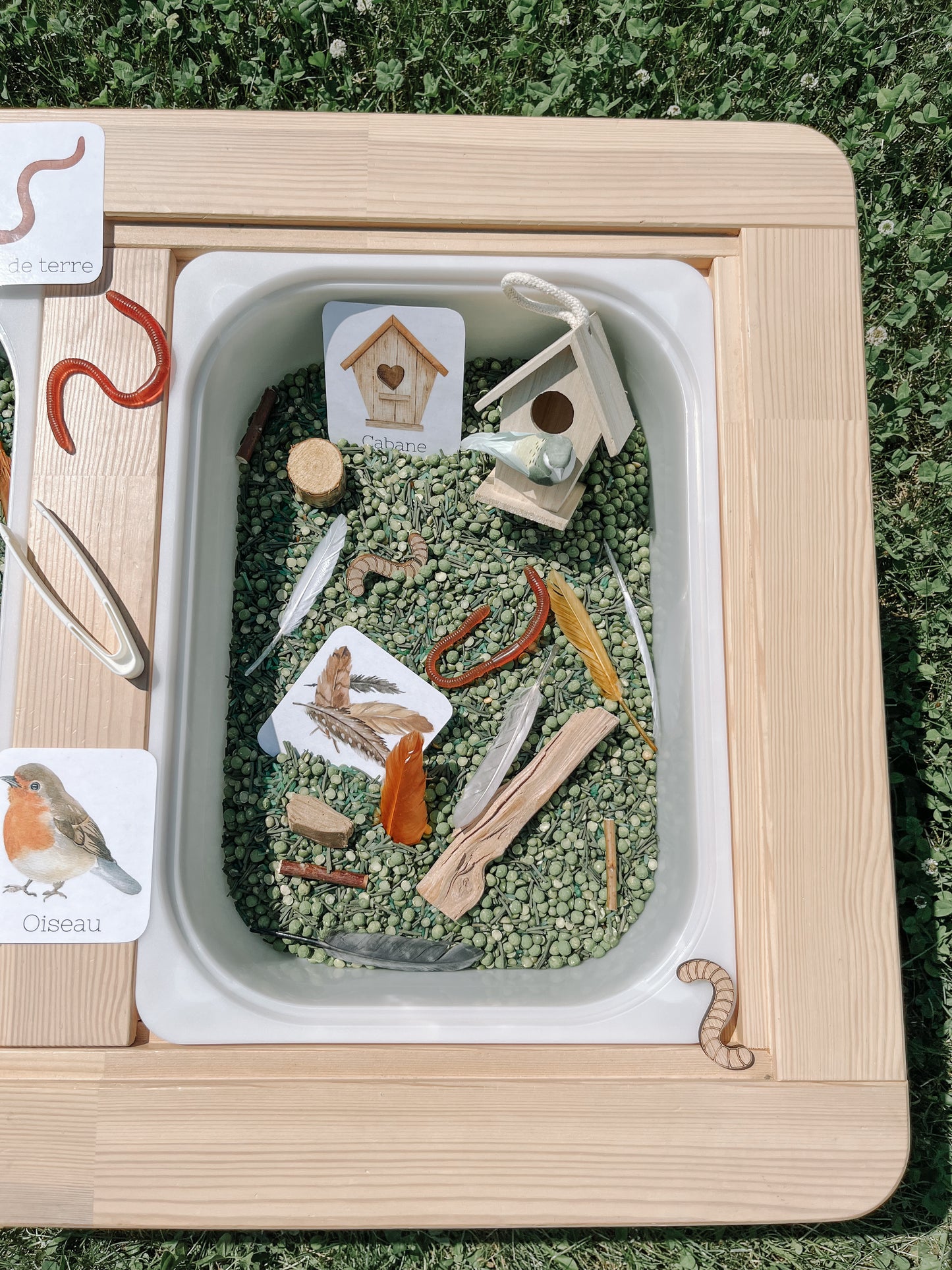 Boite sensorielle Oiseaux