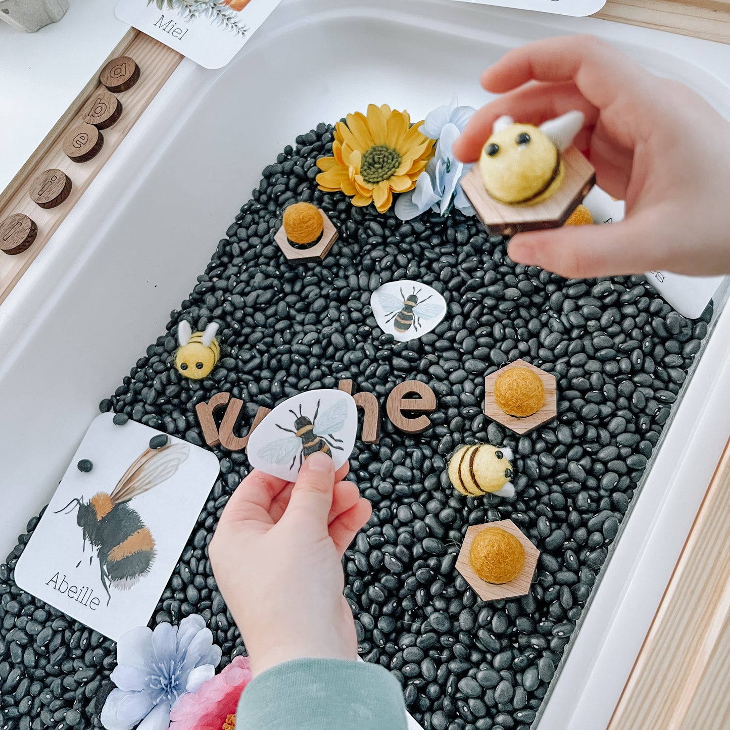 Boite sensorielle Abeilles