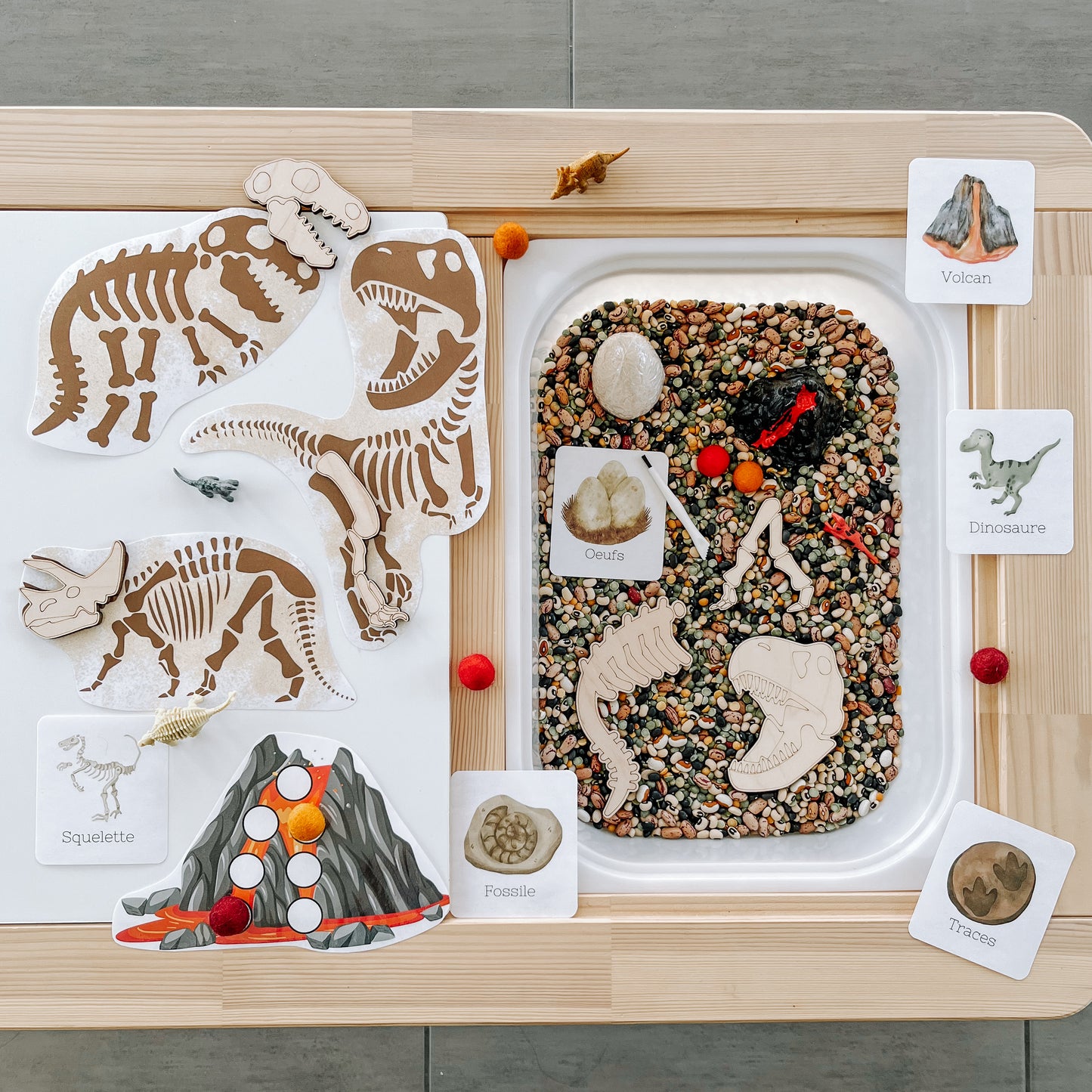 Boite sensorielle Dinosaures
