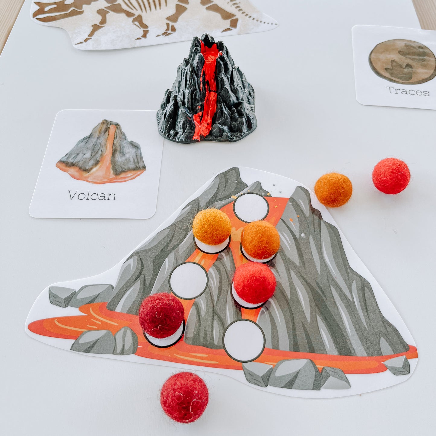 Boite sensorielle Dinosaures
