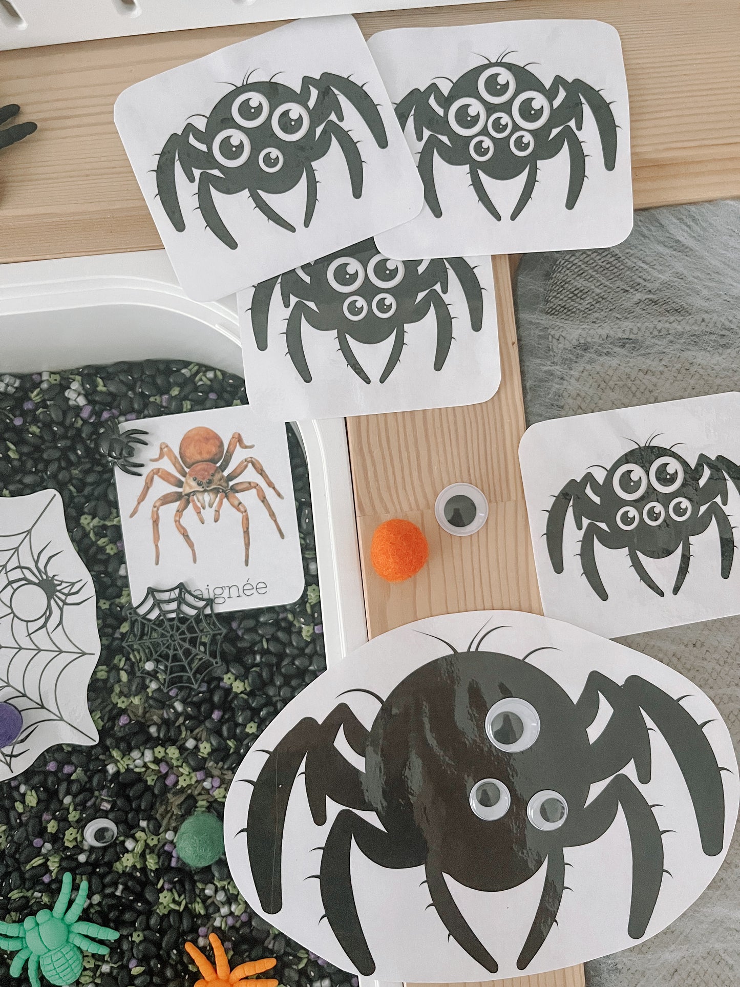 Boite sensorielle Halloween 2025