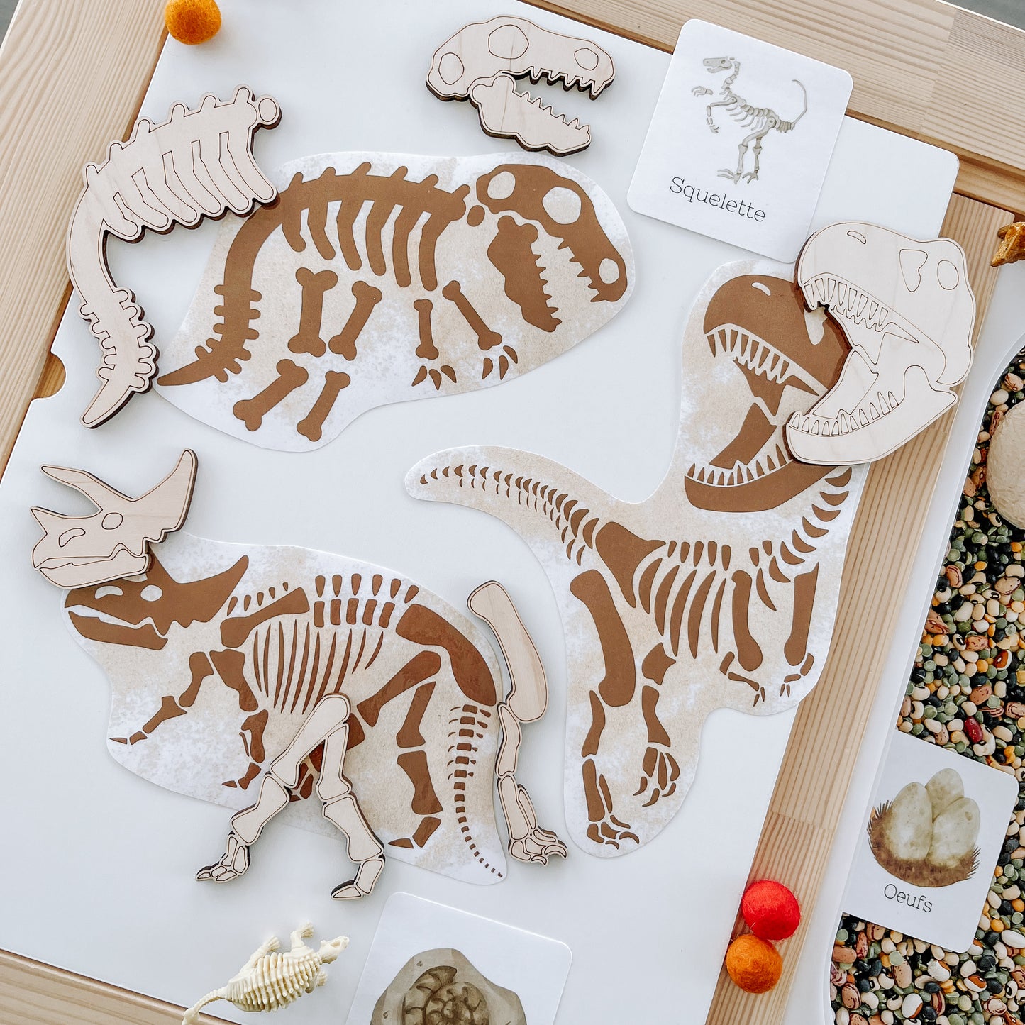 Boite sensorielle Dinosaures
