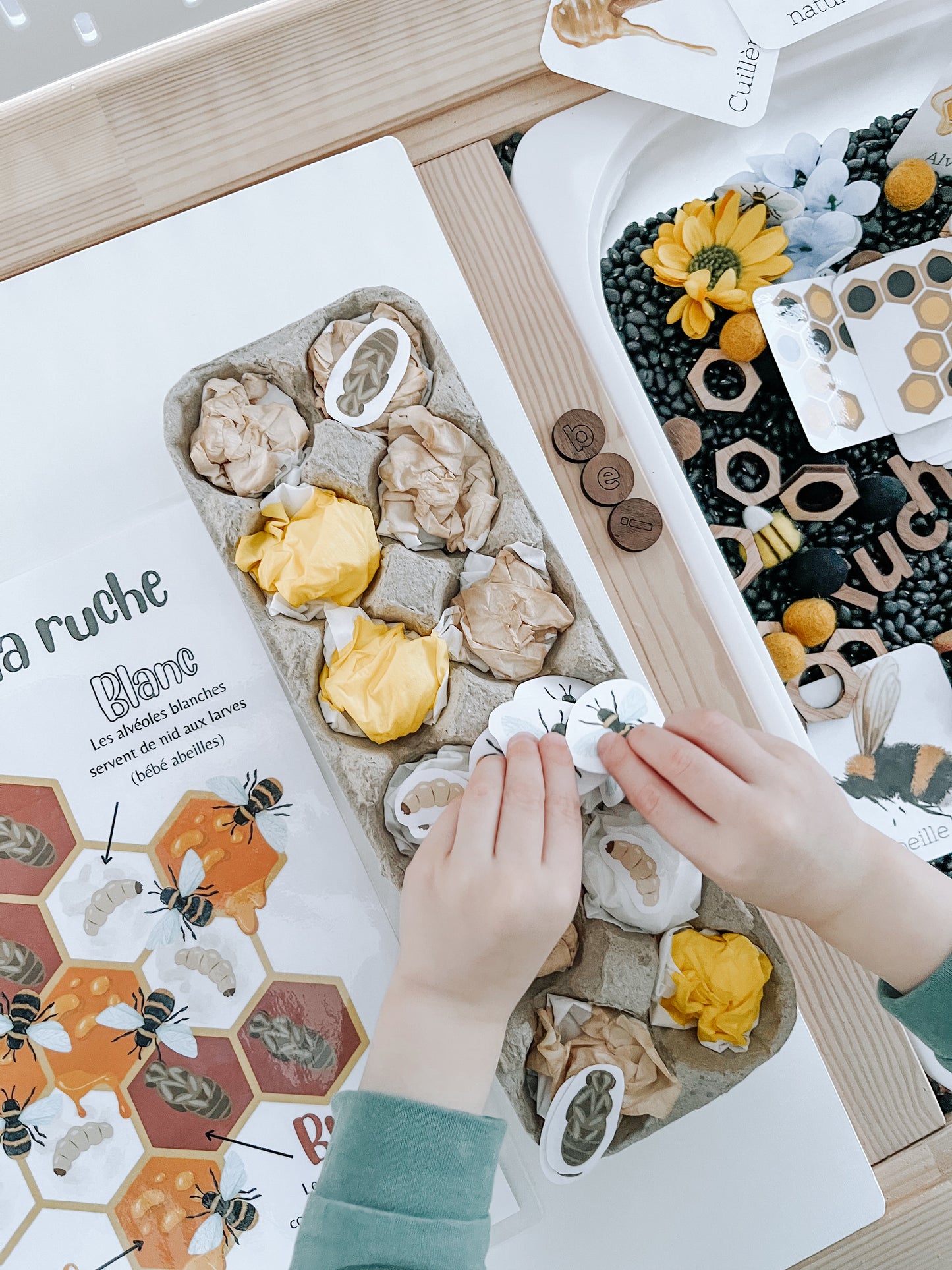 Boite sensorielle Abeilles