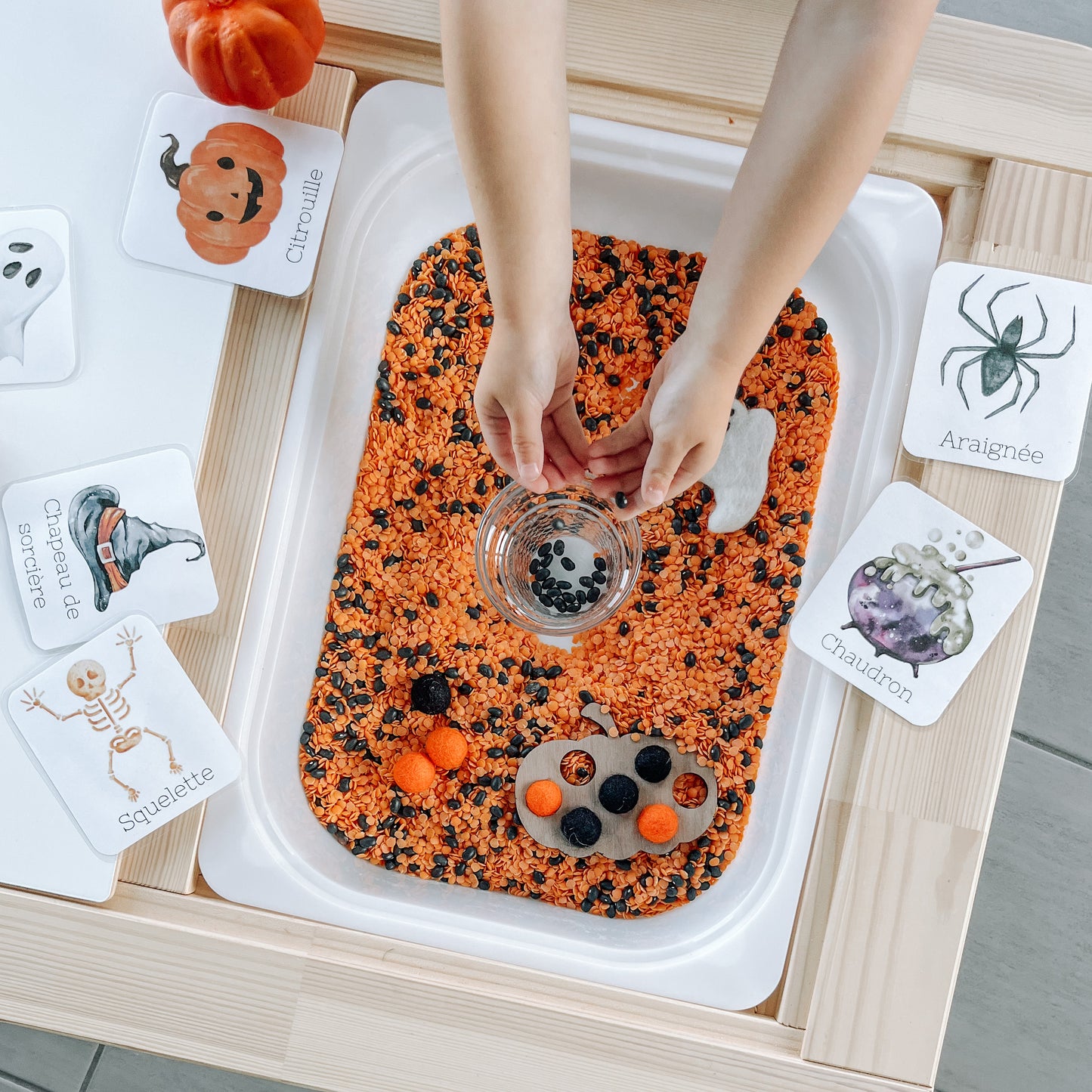 Boite sensorielle Halloween 2023