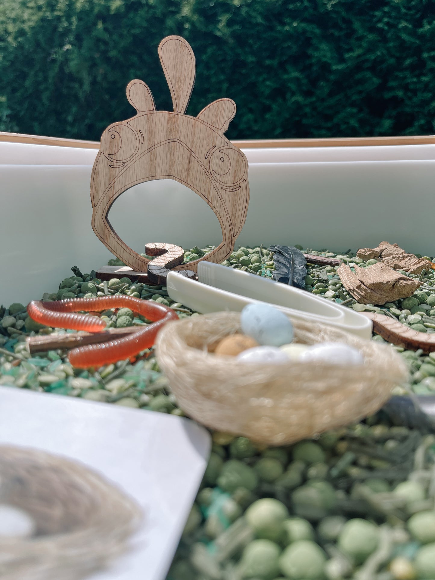 Boite sensorielle Oiseaux