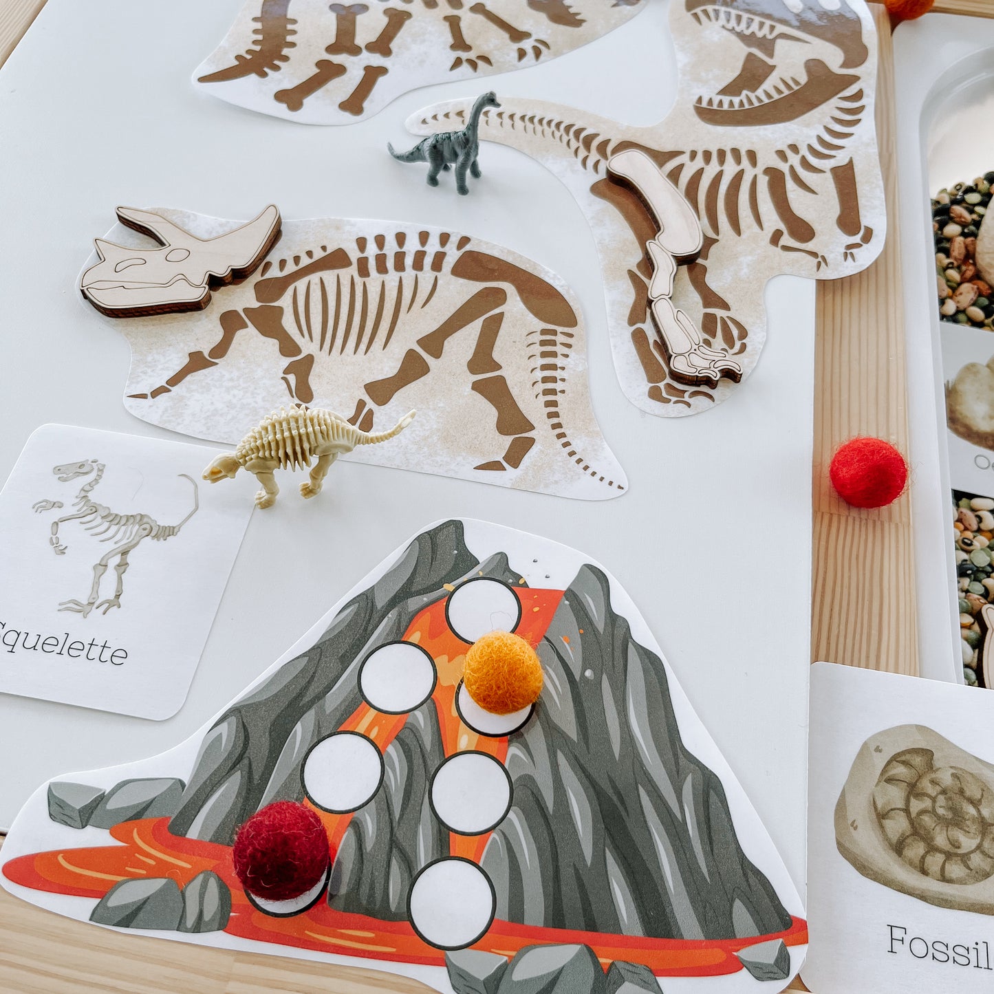 Boite sensorielle Dinosaures
