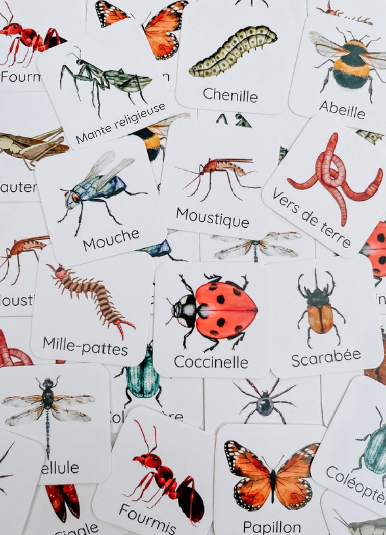 Jeux de mémoire Insectes