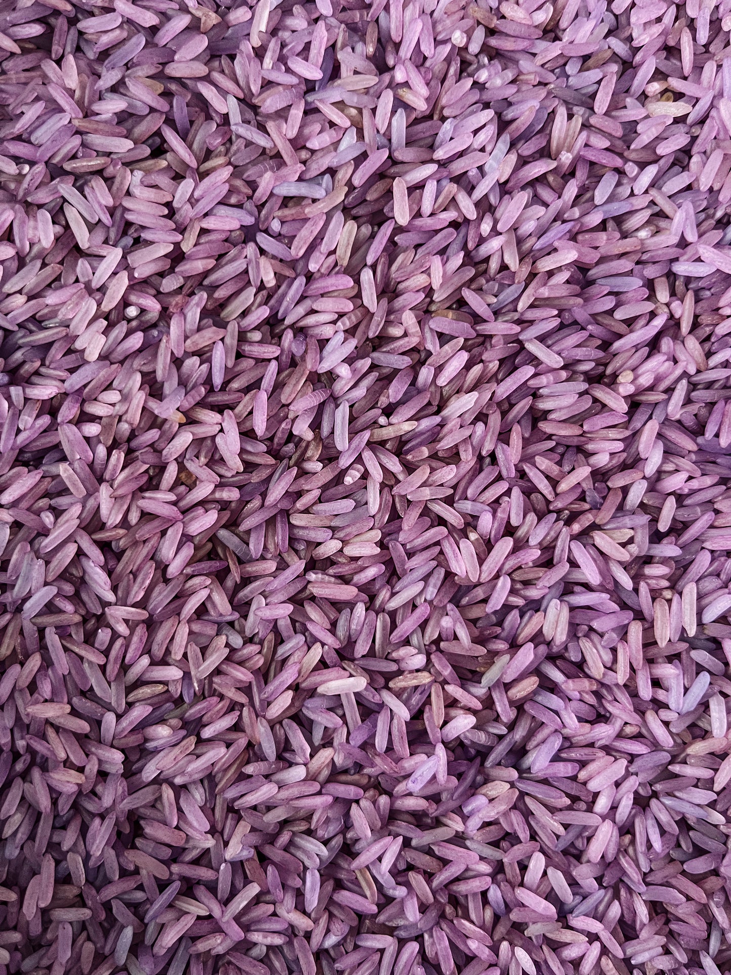 Riz coloré