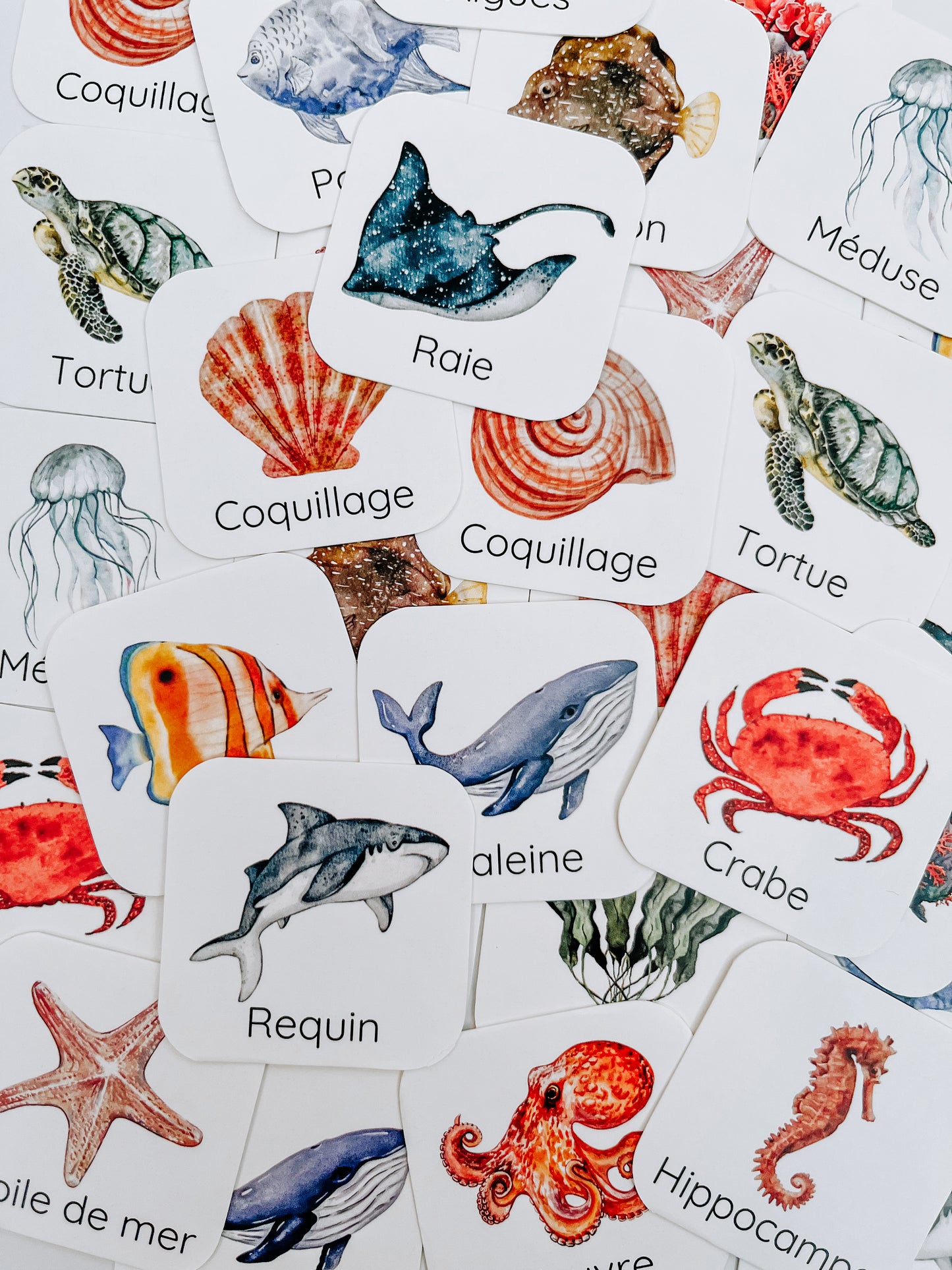 Jeux de mémoire Océan