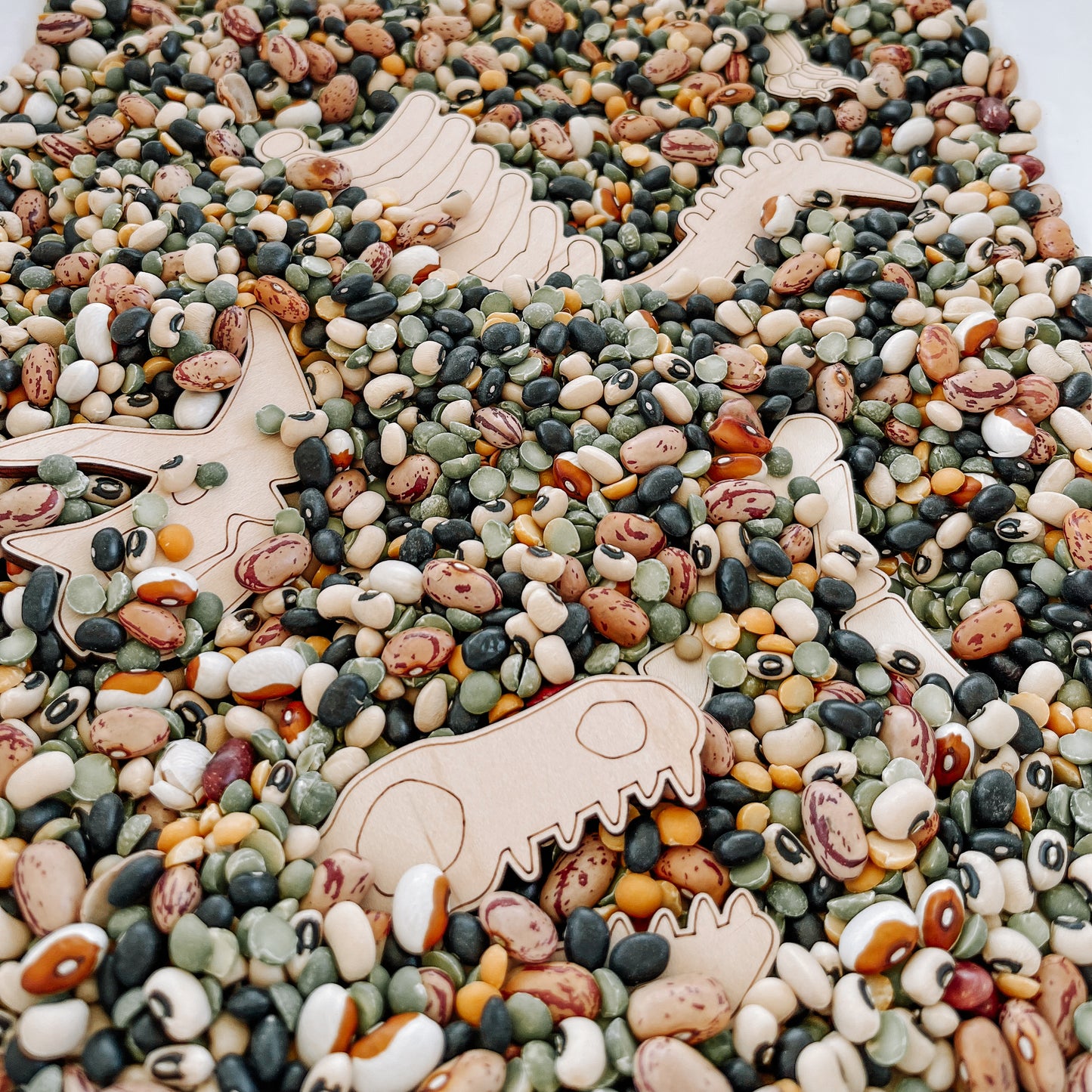 Mélange sensoriel Dinosaures