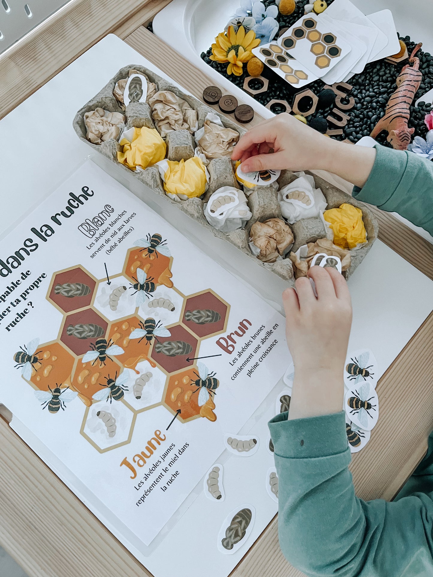 Boite sensorielle Abeilles