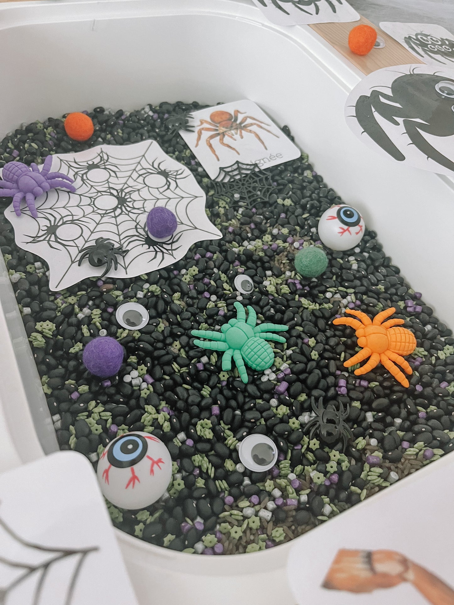 Boite sensorielle Halloween 2025