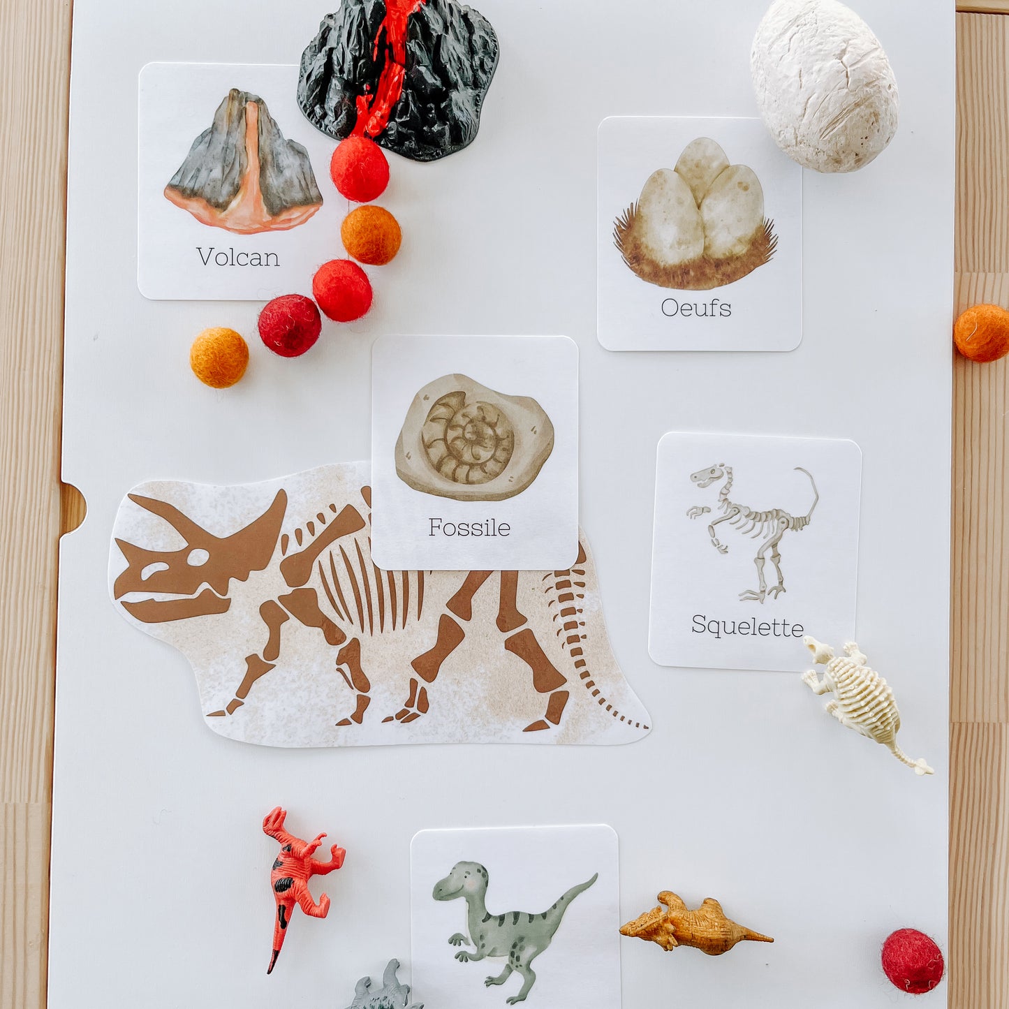 Boite sensorielle Dinosaures