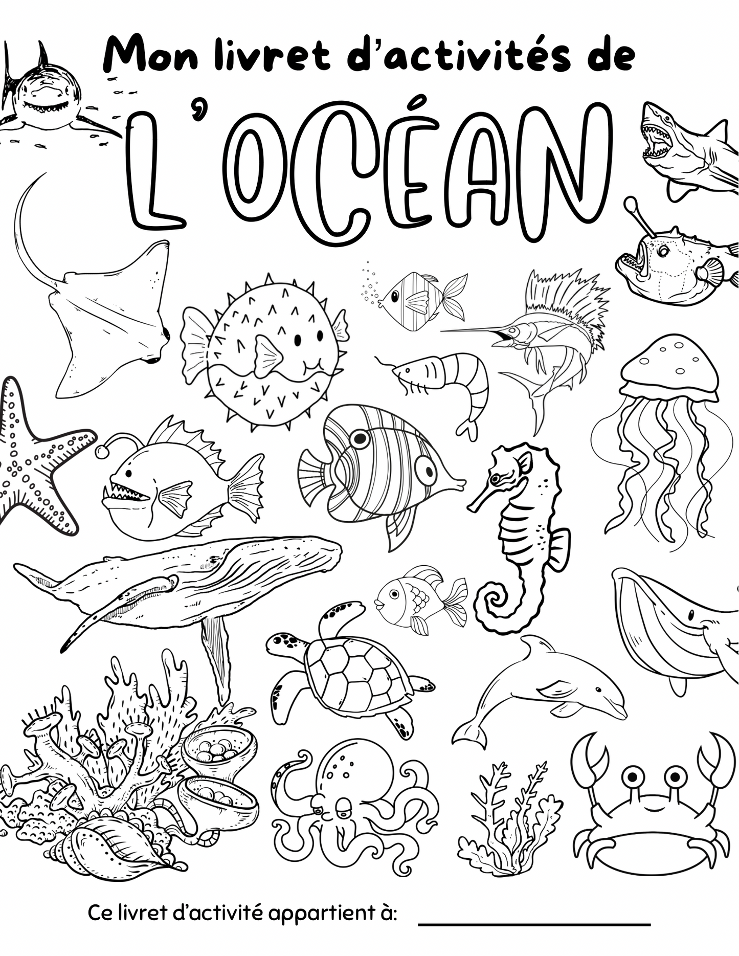 Livret d'activités - Océan