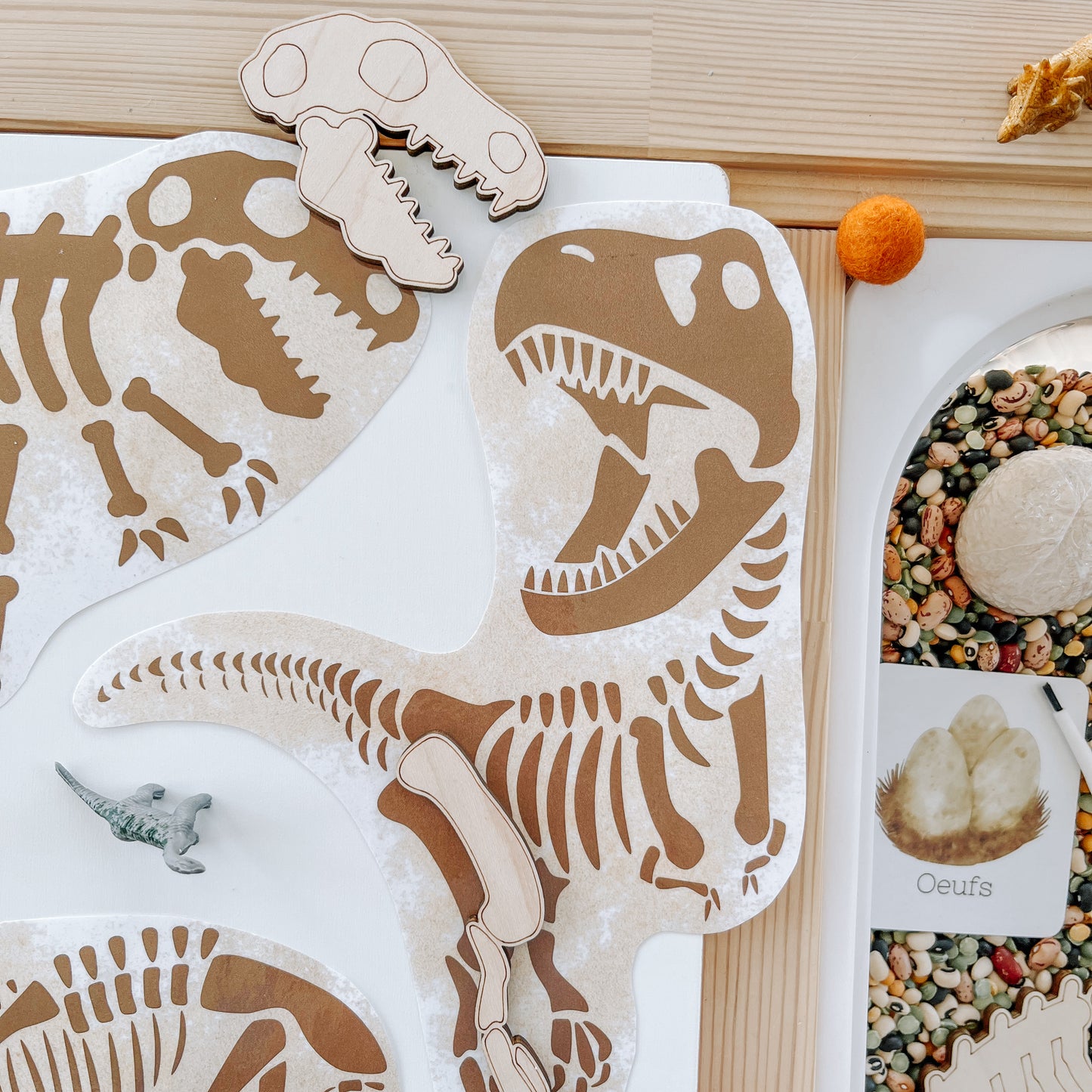 Boite sensorielle Dinosaures
