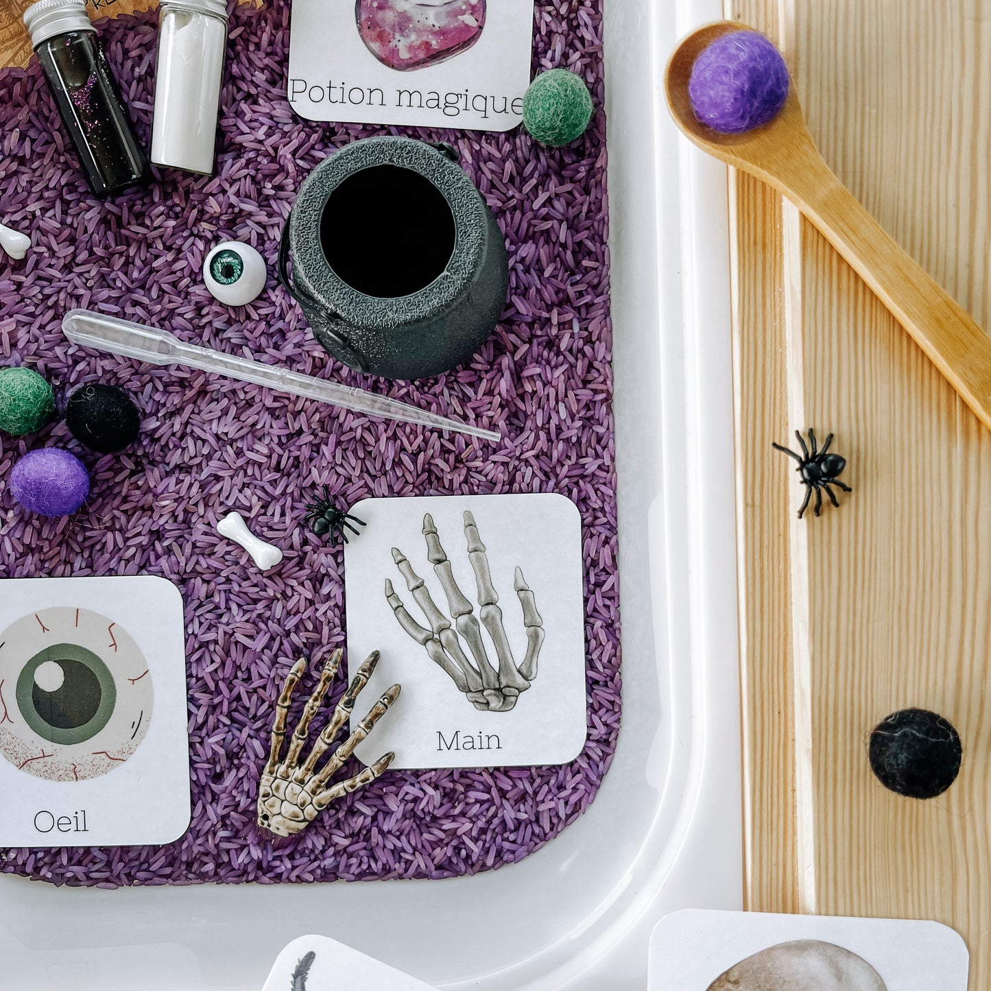 Boite sensorielle Halloween 2024