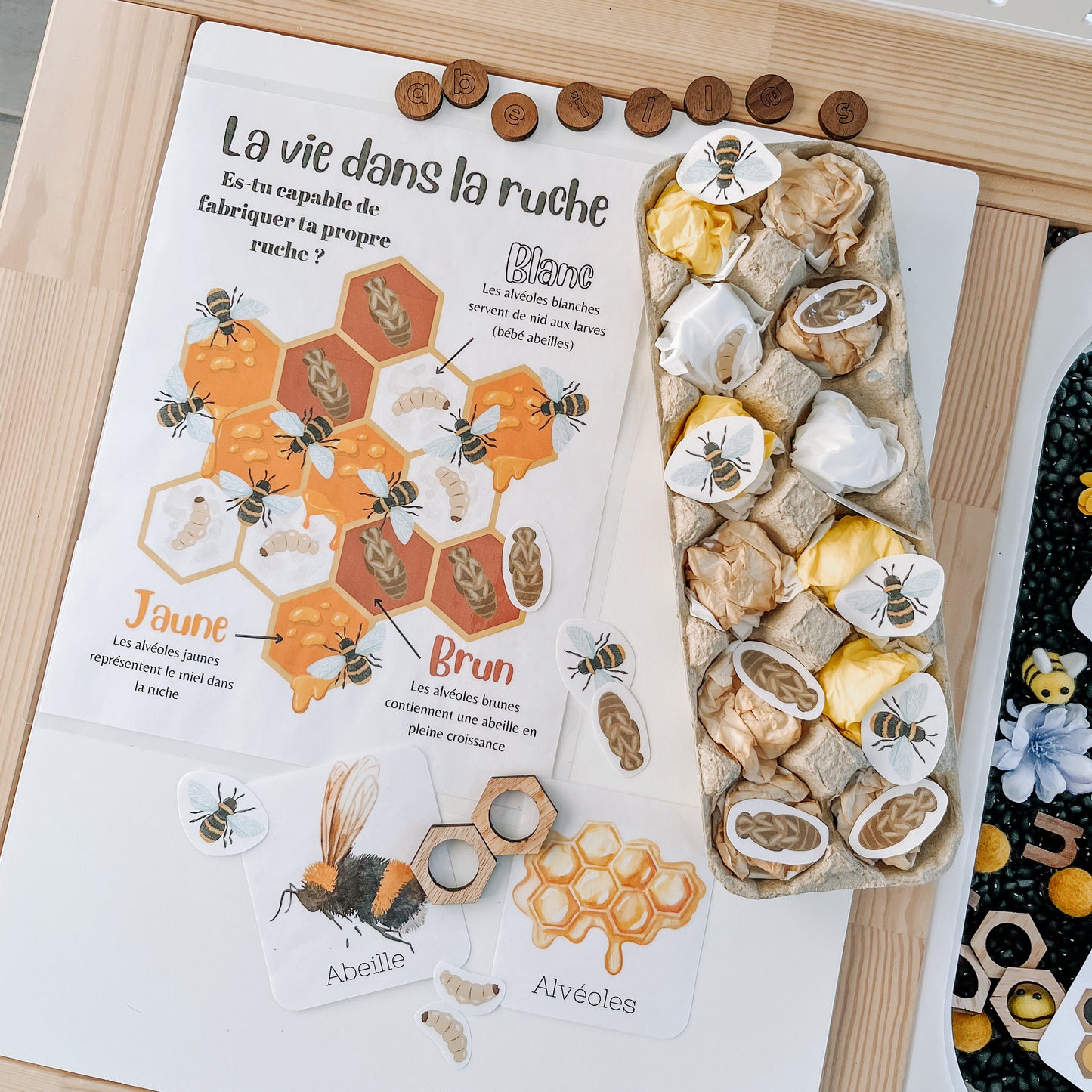 Boite sensorielle Abeilles