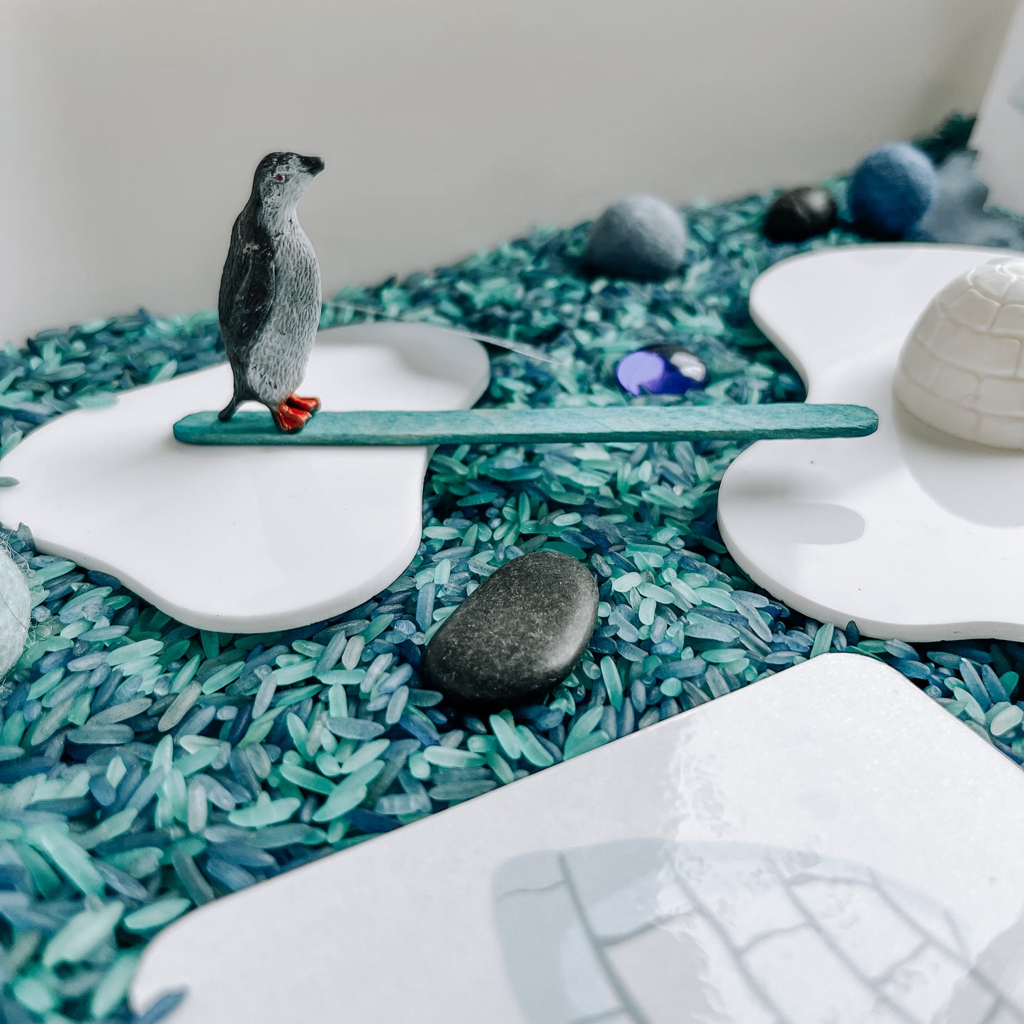 Boite sensorielle Monde Polaire