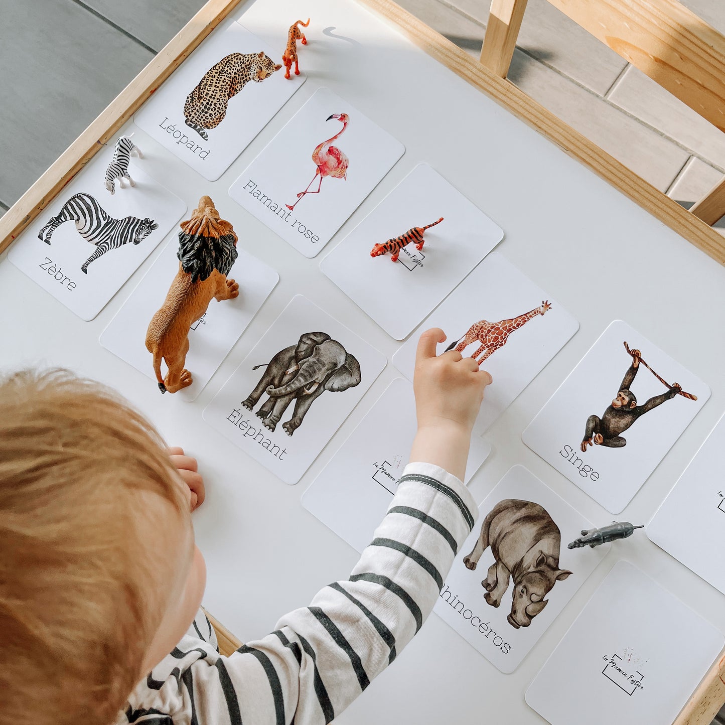 Cartes Animaux de la savane