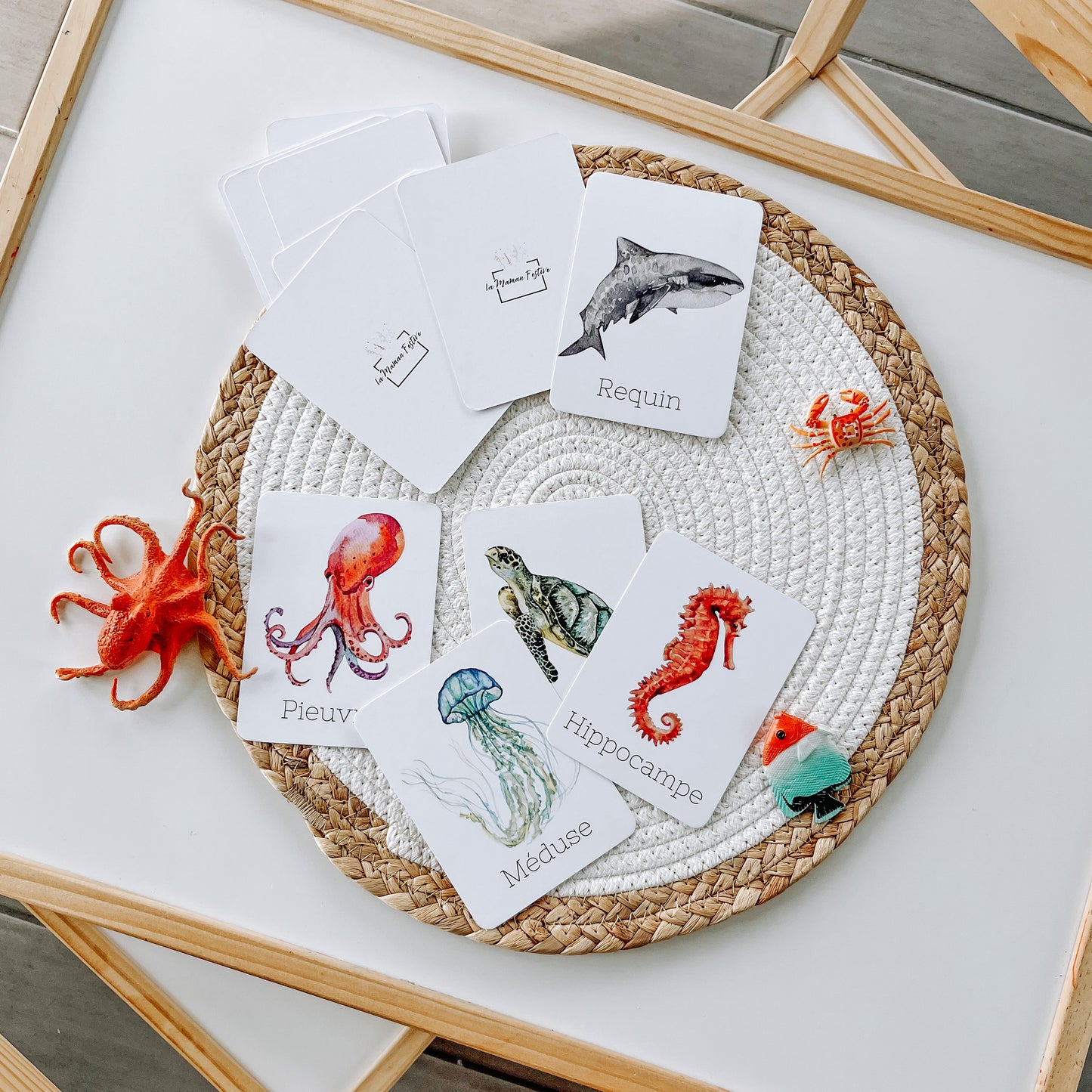 Cartes Animaux de la mer