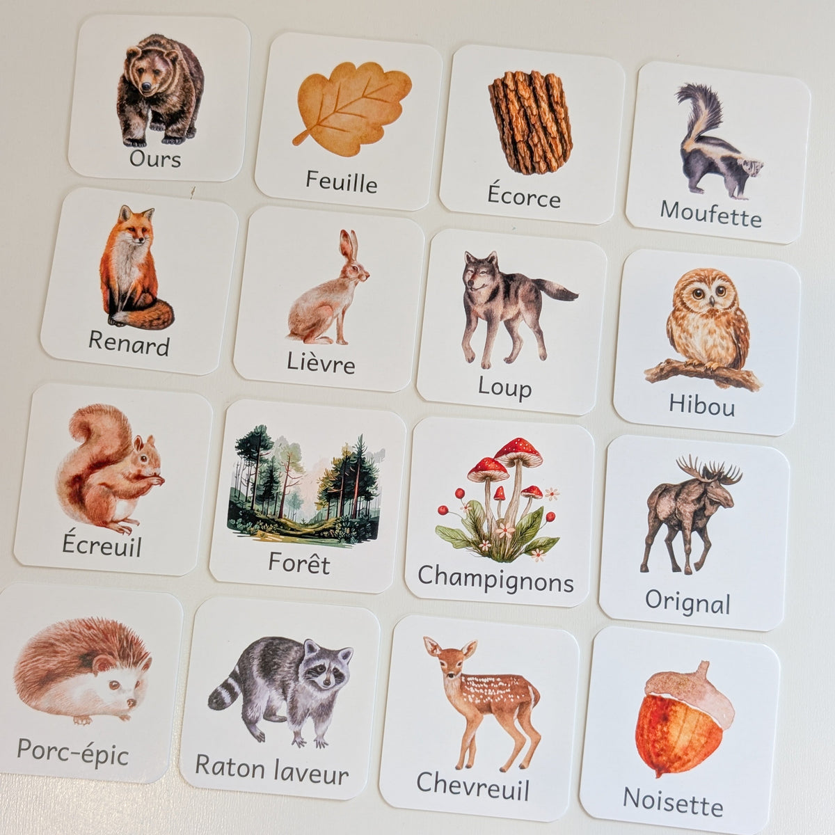 Jeu de mémoire - Forêt