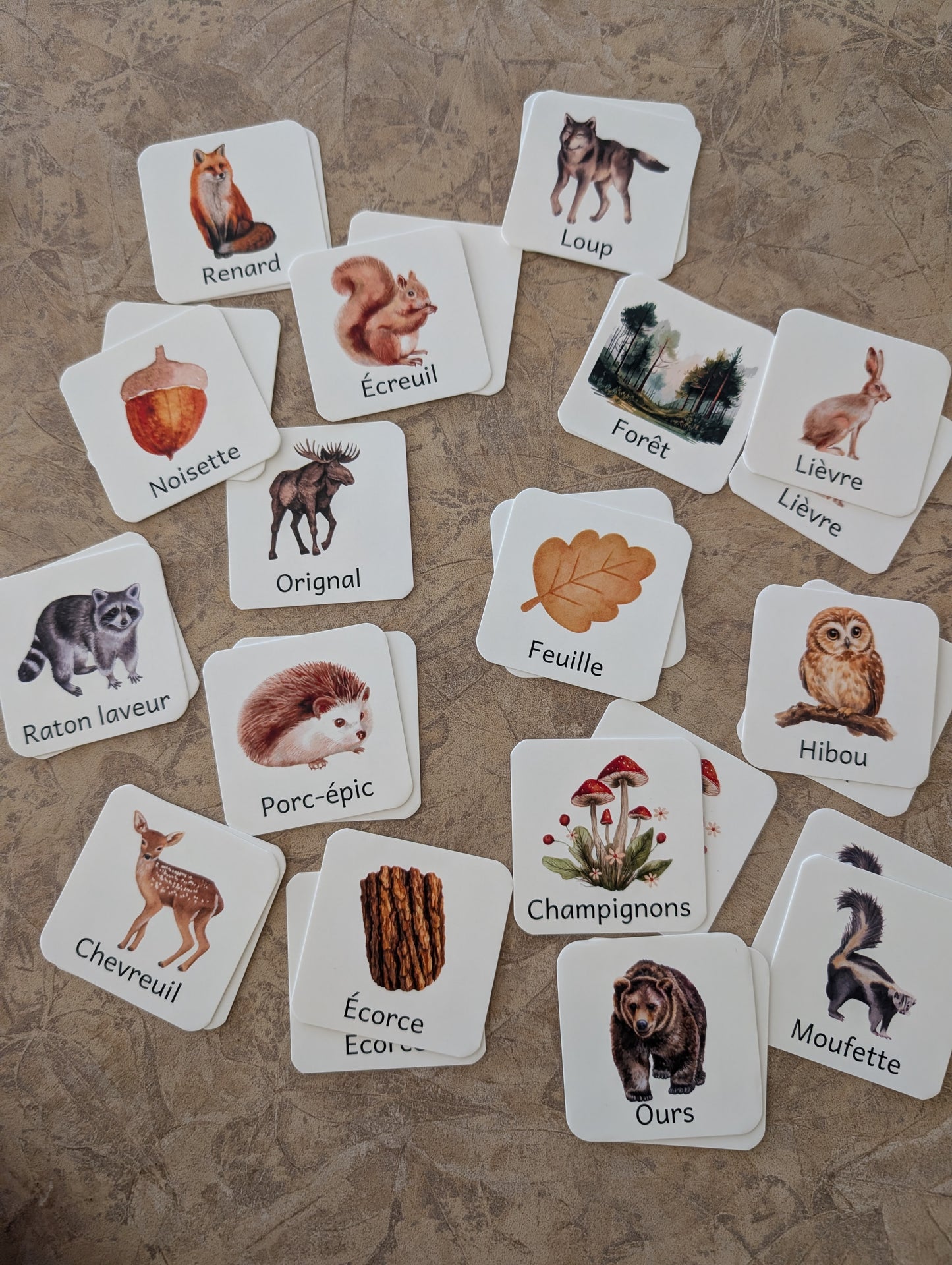 Jeu de mémoire - Forêt