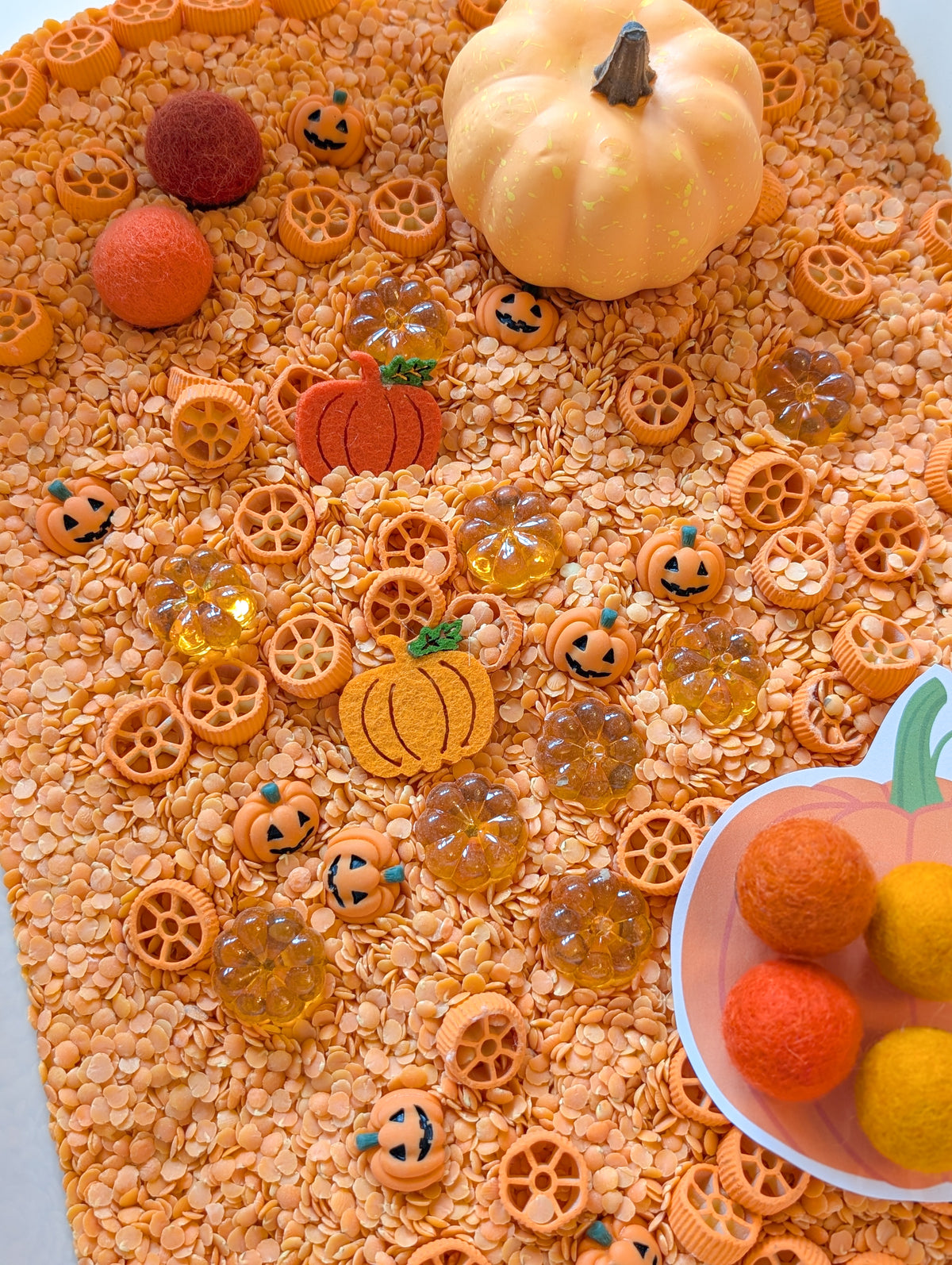 Mélange sensoriel XL Citrouilles