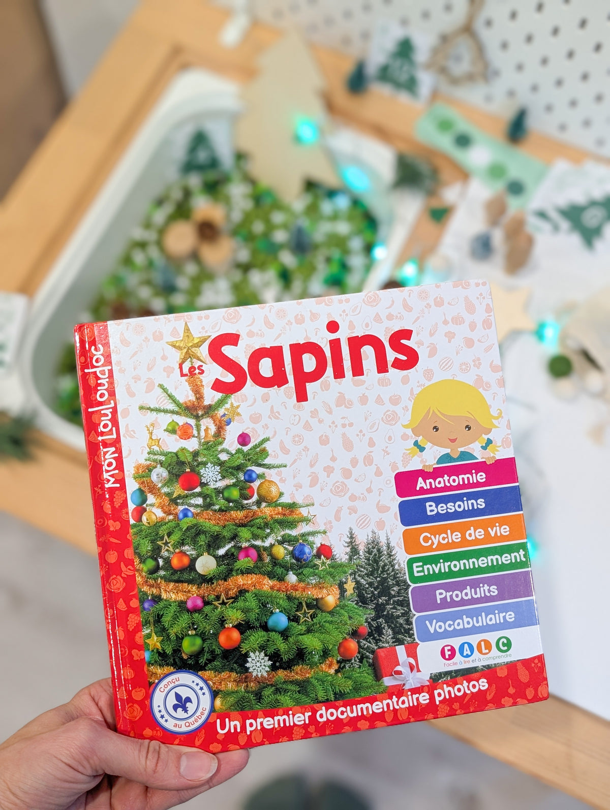 Mon Beau Sapin - Livre complémentaire