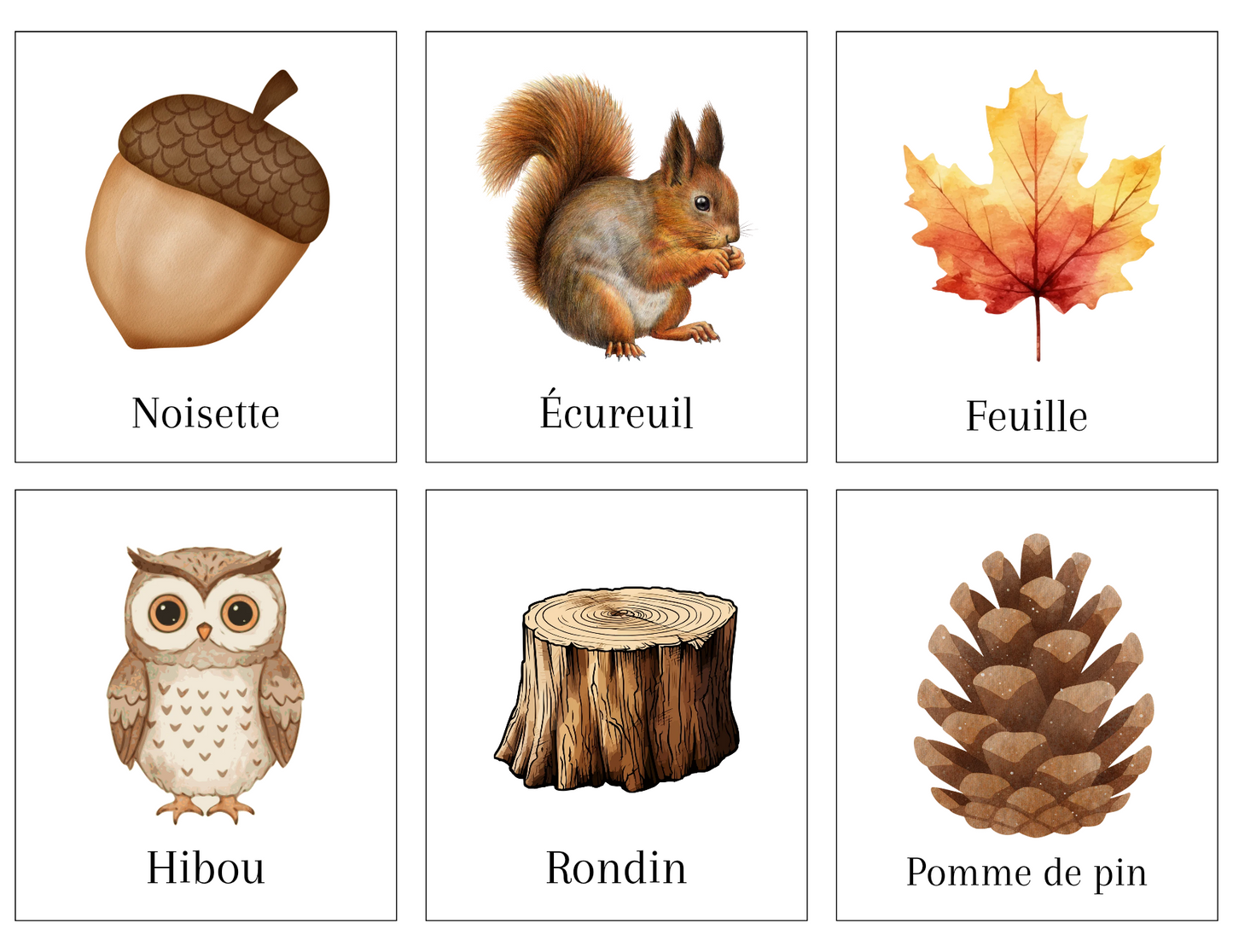 Boîte sensorielle Forêt