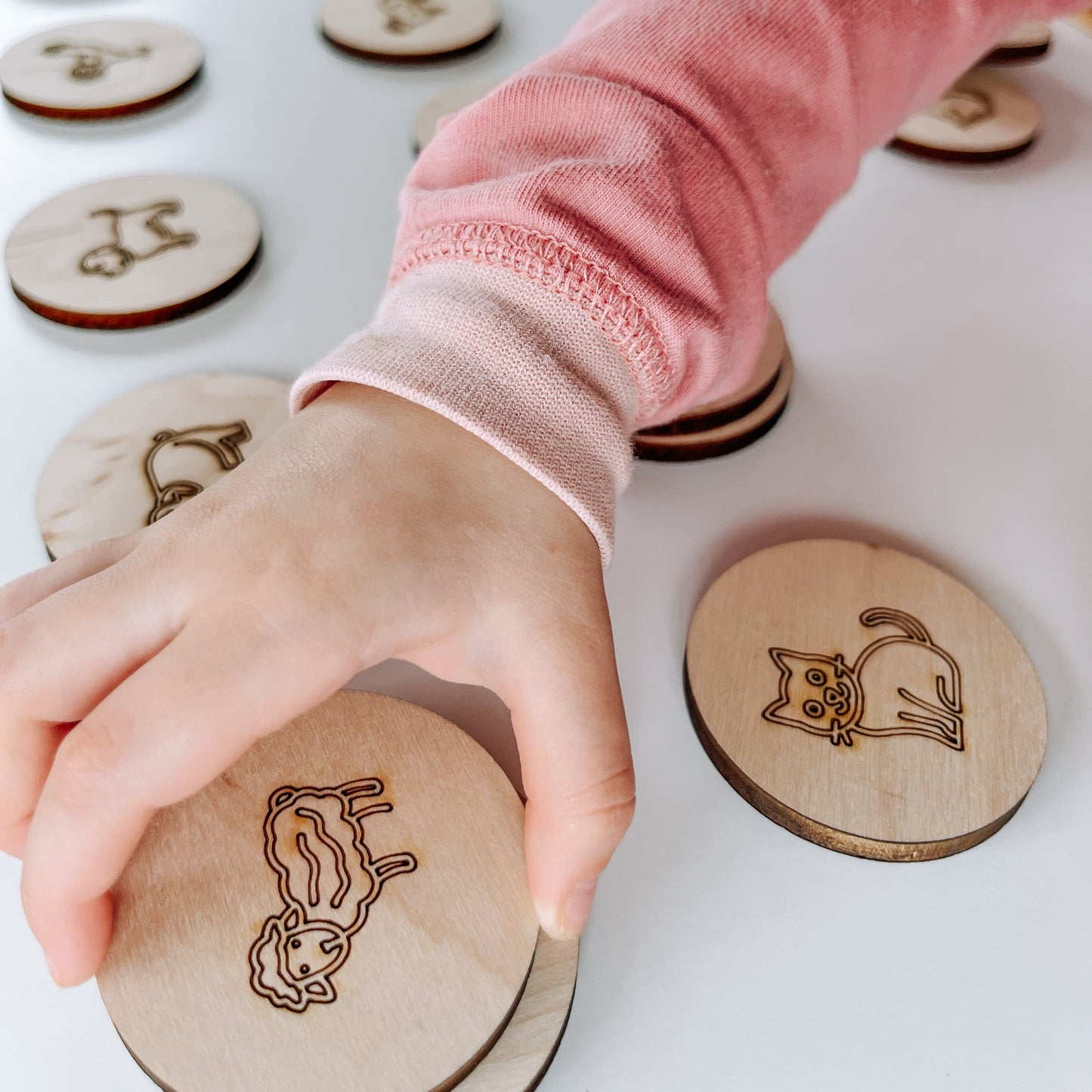 Jeu de mémoire ferme en bois