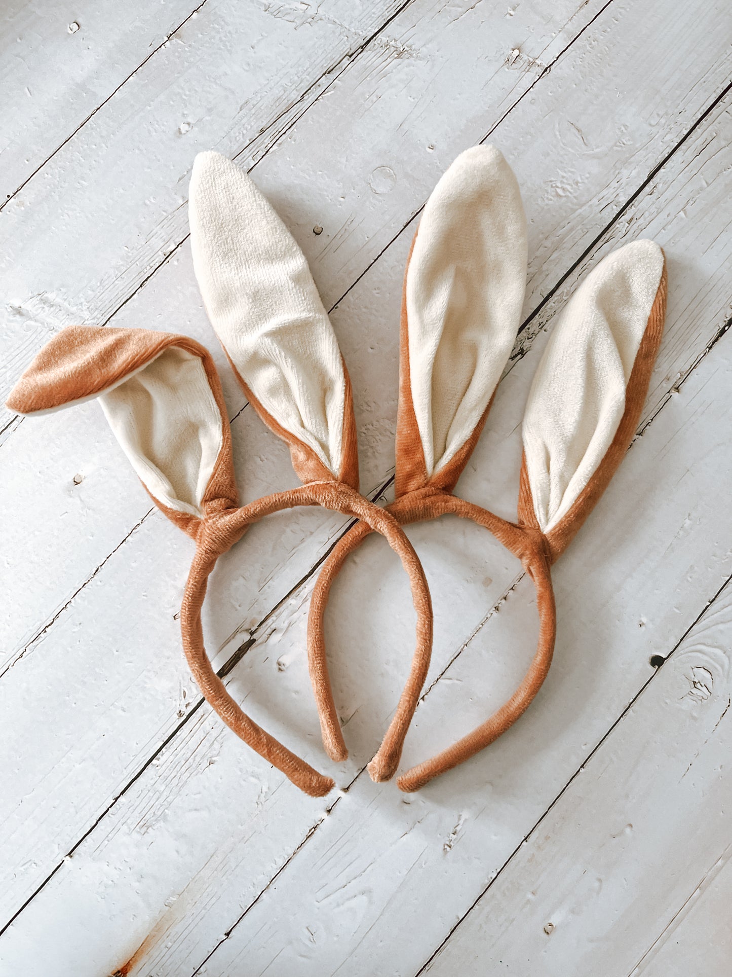 Oreilles de lapin