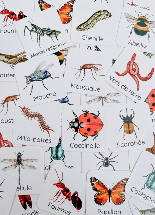 Jeux de mémoire Insectes