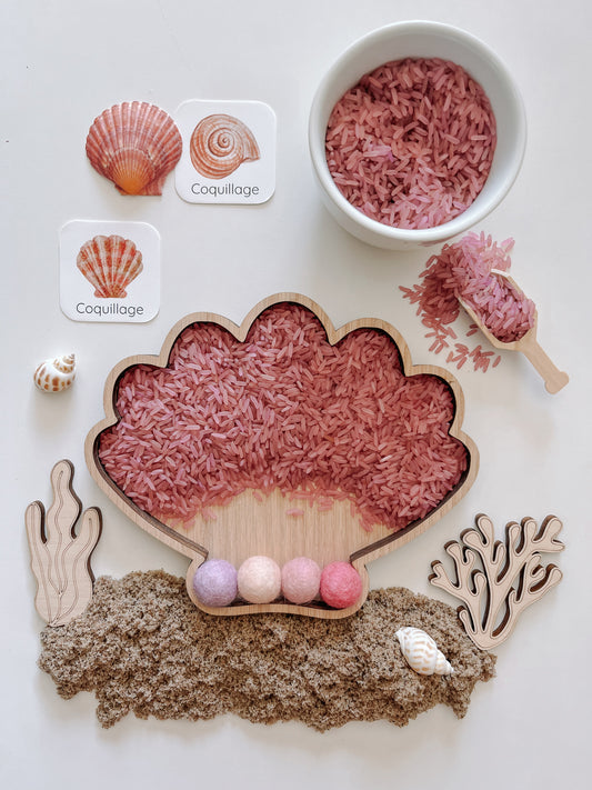 Plateau Coquillage