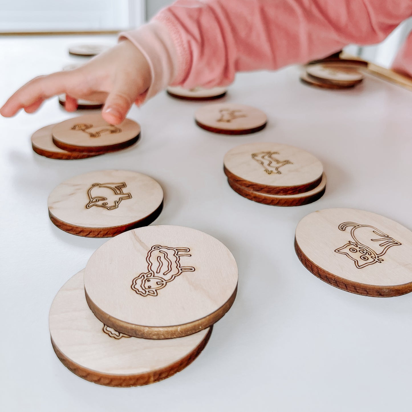 Jeu de mémoire ferme en bois