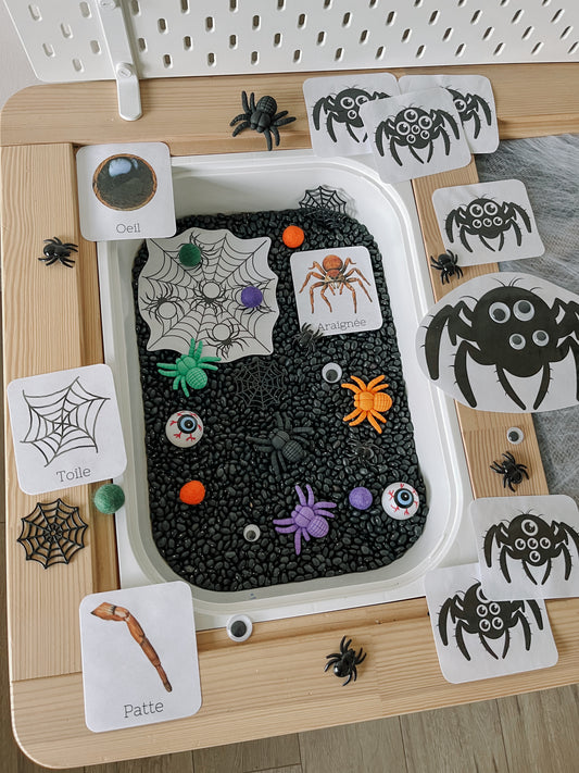 Boite sensorielle Halloween 2025
