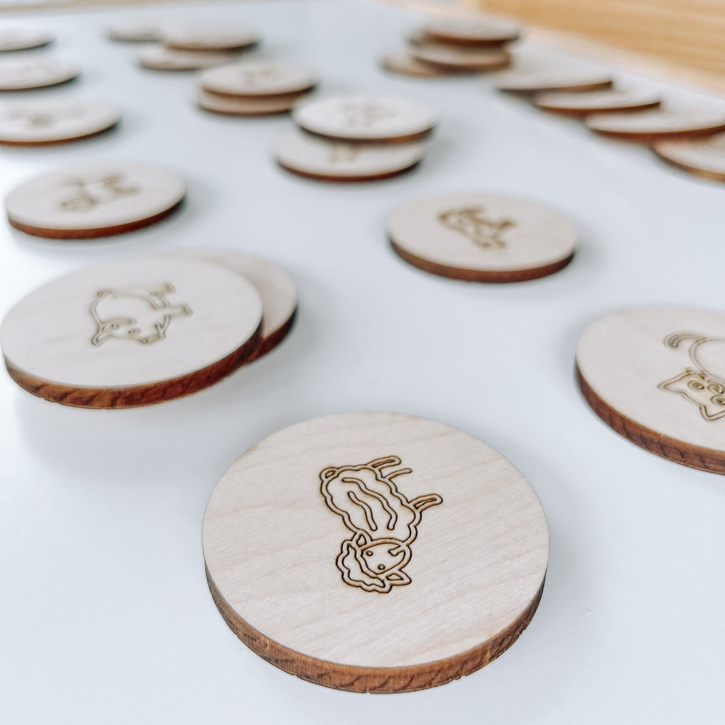 Jeu de mémoire ferme en bois