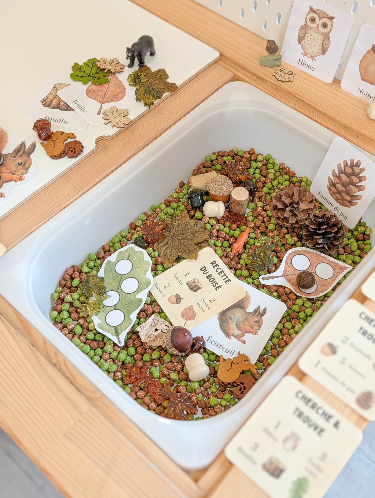 Boîte sensorielle Forêt