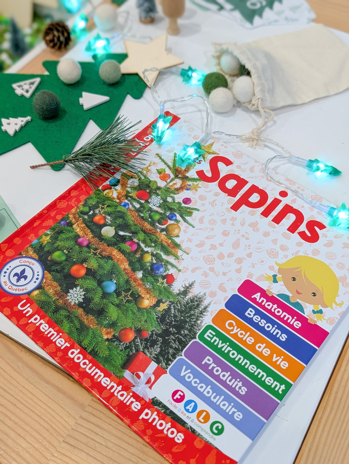 Mon Beau Sapin - Livre complémentaire