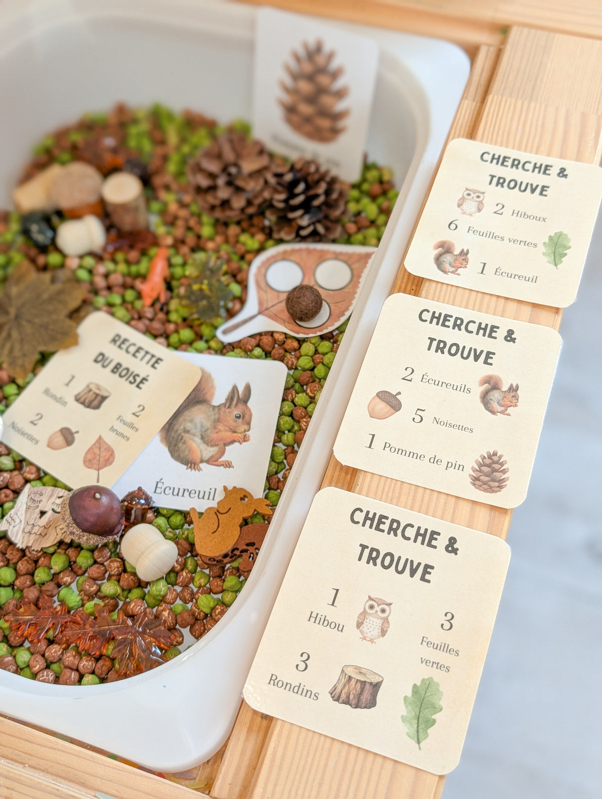 Boîte sensorielle Forêt