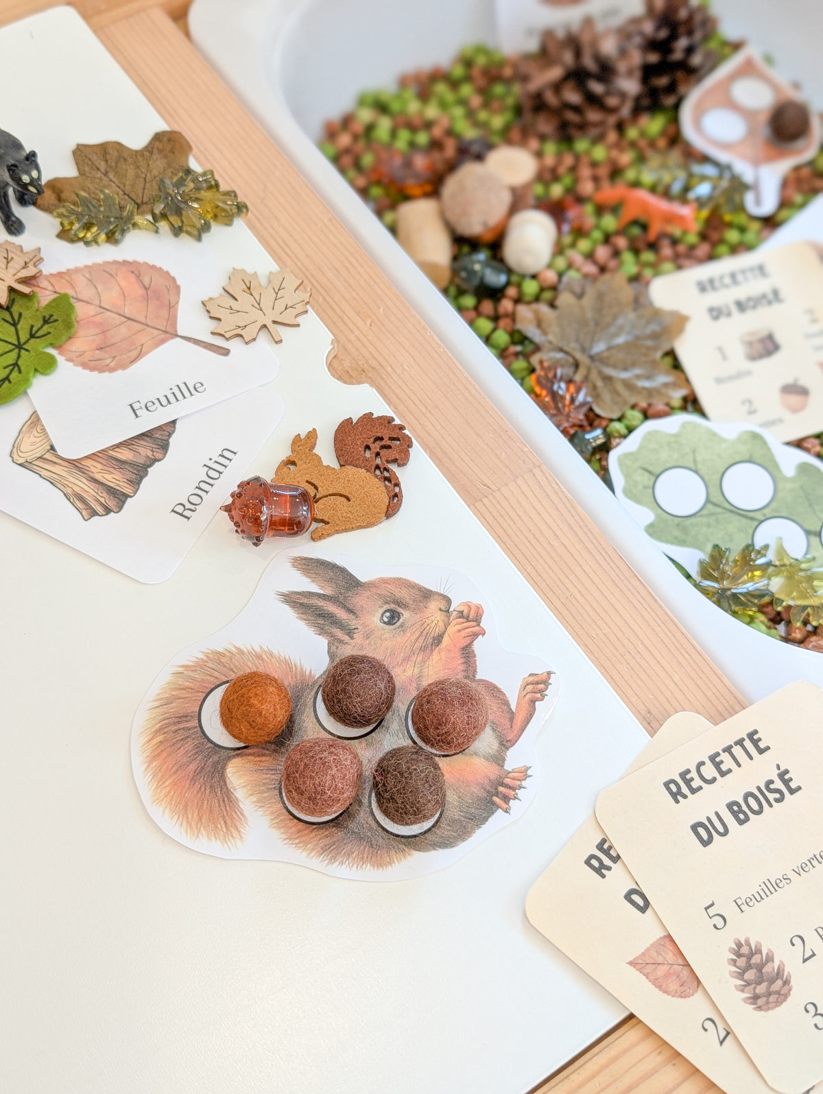 Boîte sensorielle Forêt