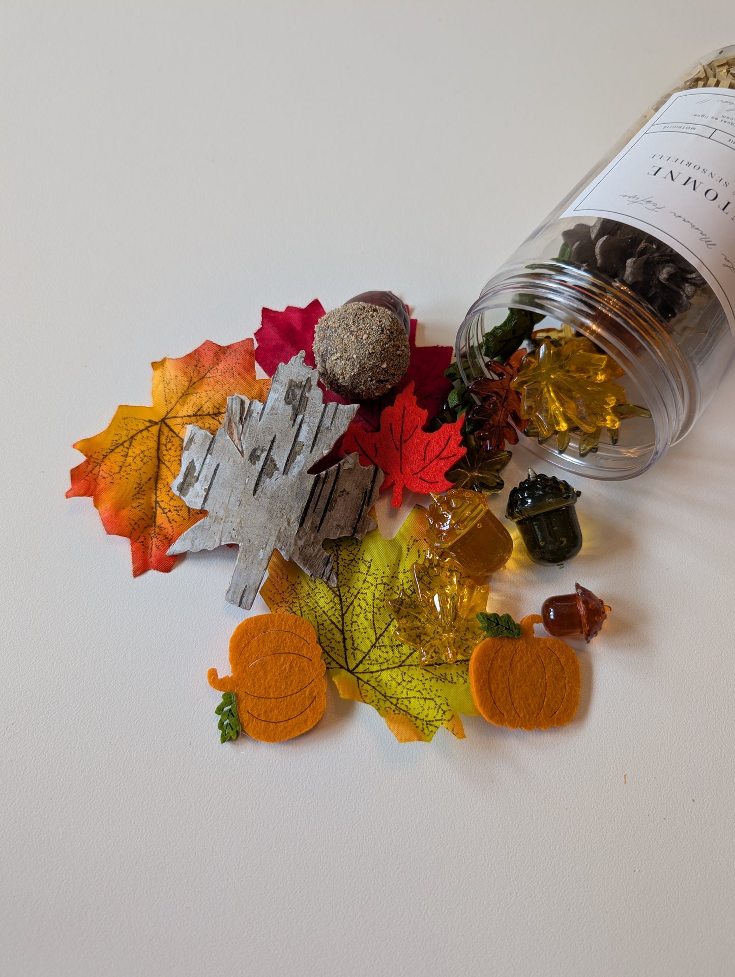 Activité sensoriel Automne