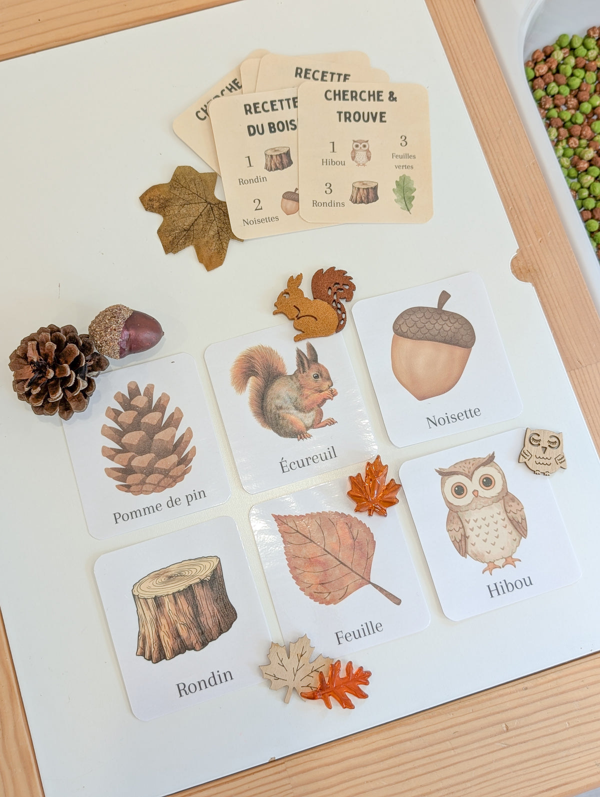 Boîte sensorielle Forêt