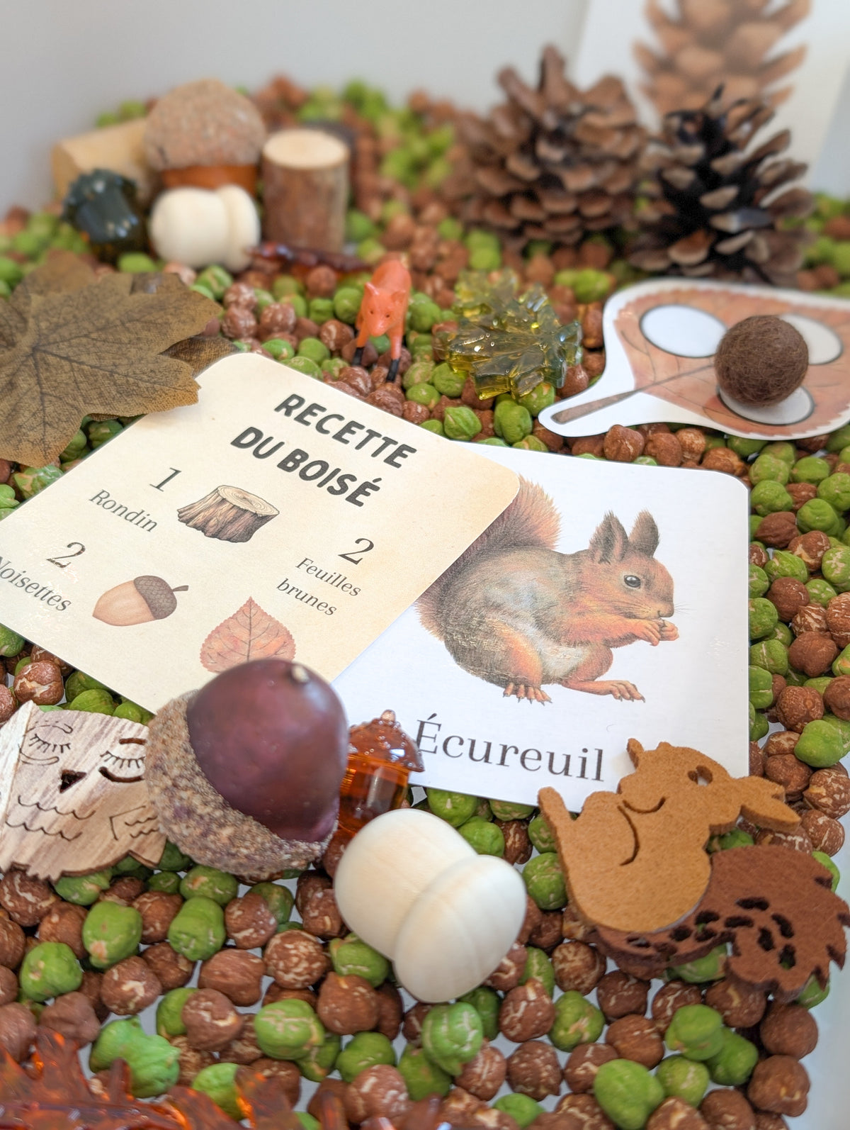 Boîte sensorielle Forêt