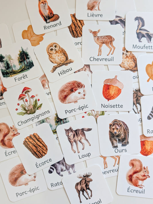 Jeu de mémoire - Forêt