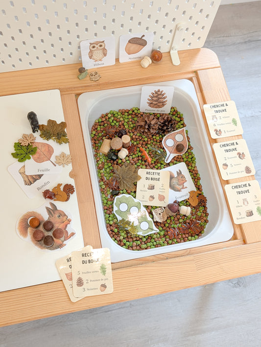 Boîte sensorielle Forêt