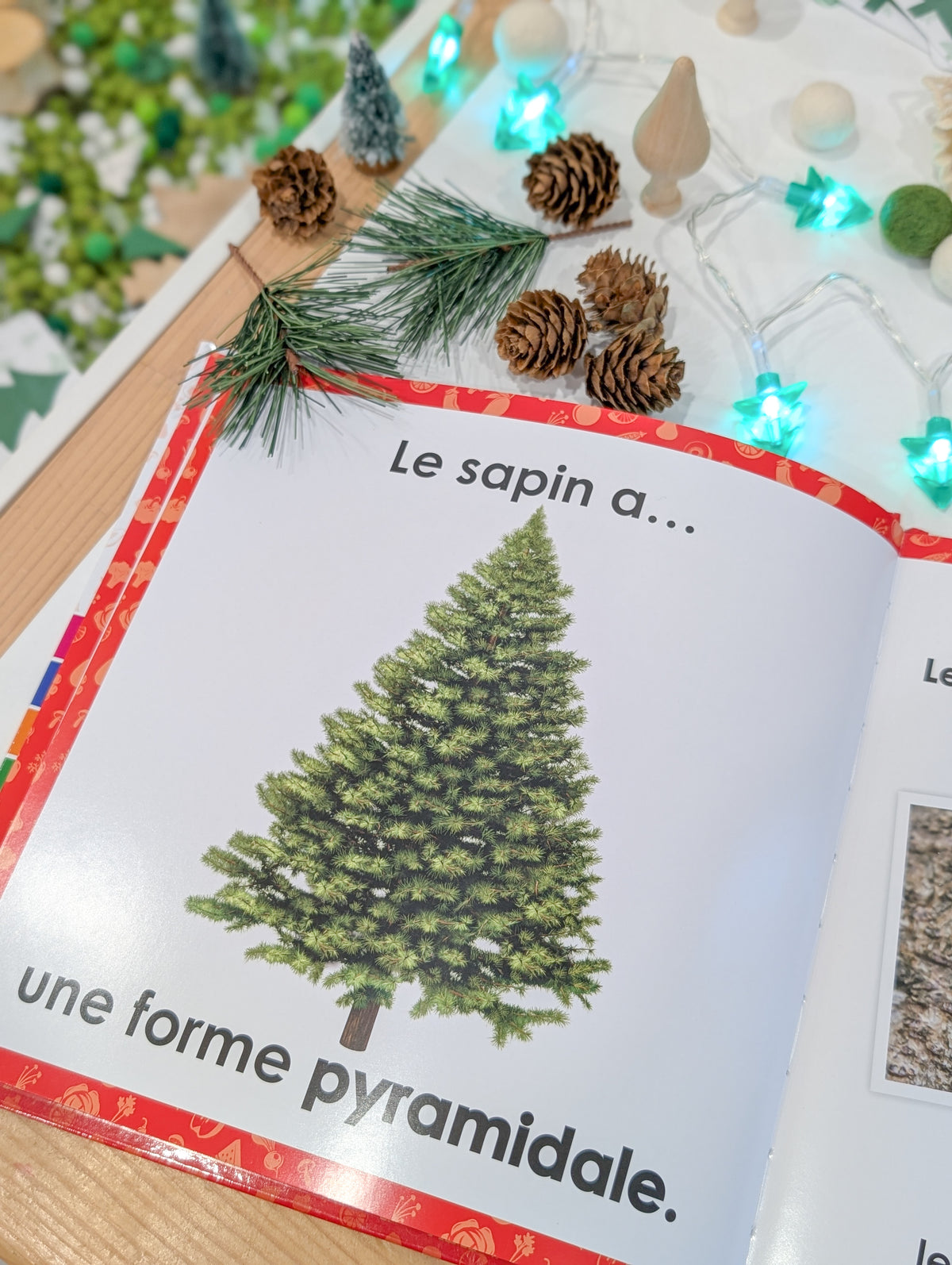 Mon Beau Sapin - Livre complémentaire