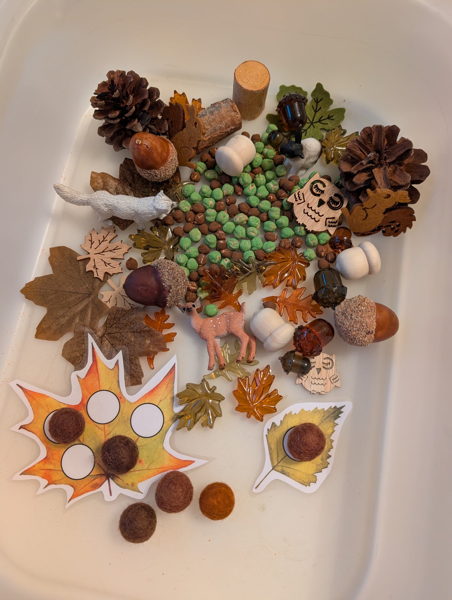 Boîte sensorielle Forêt